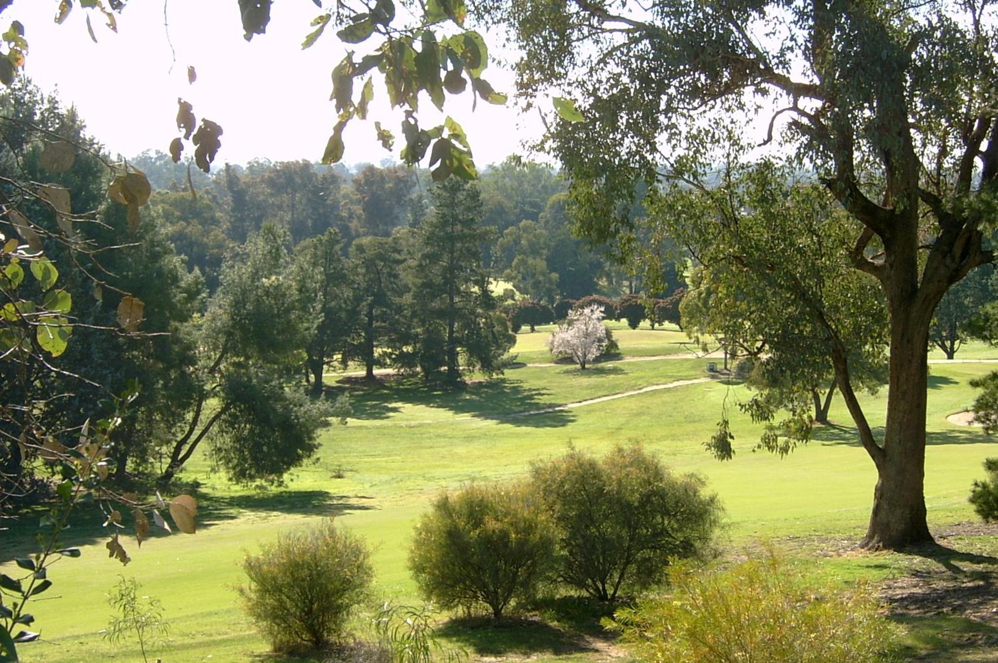 Commercial Golf Resort