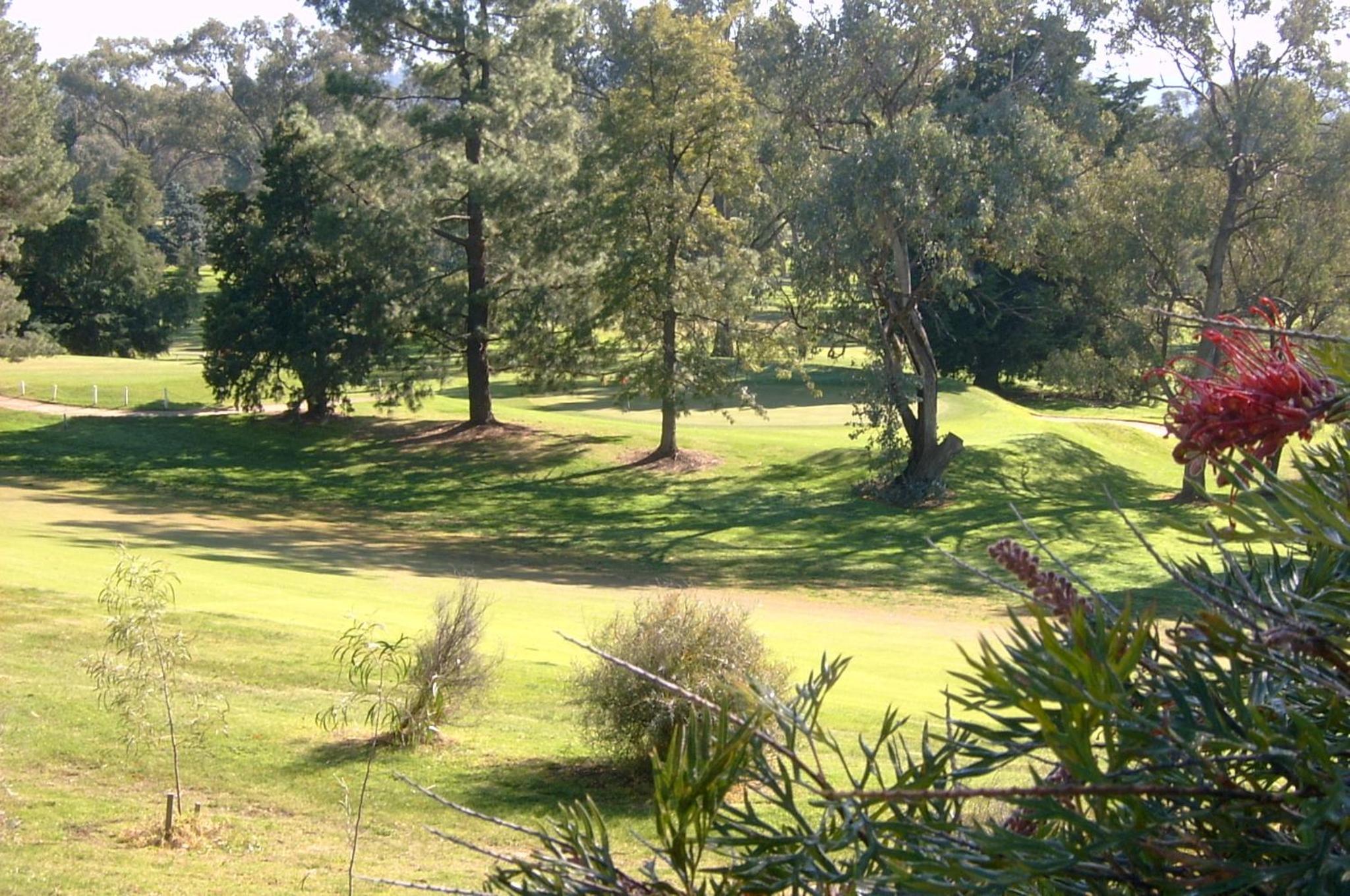 Commercial Golf Resort