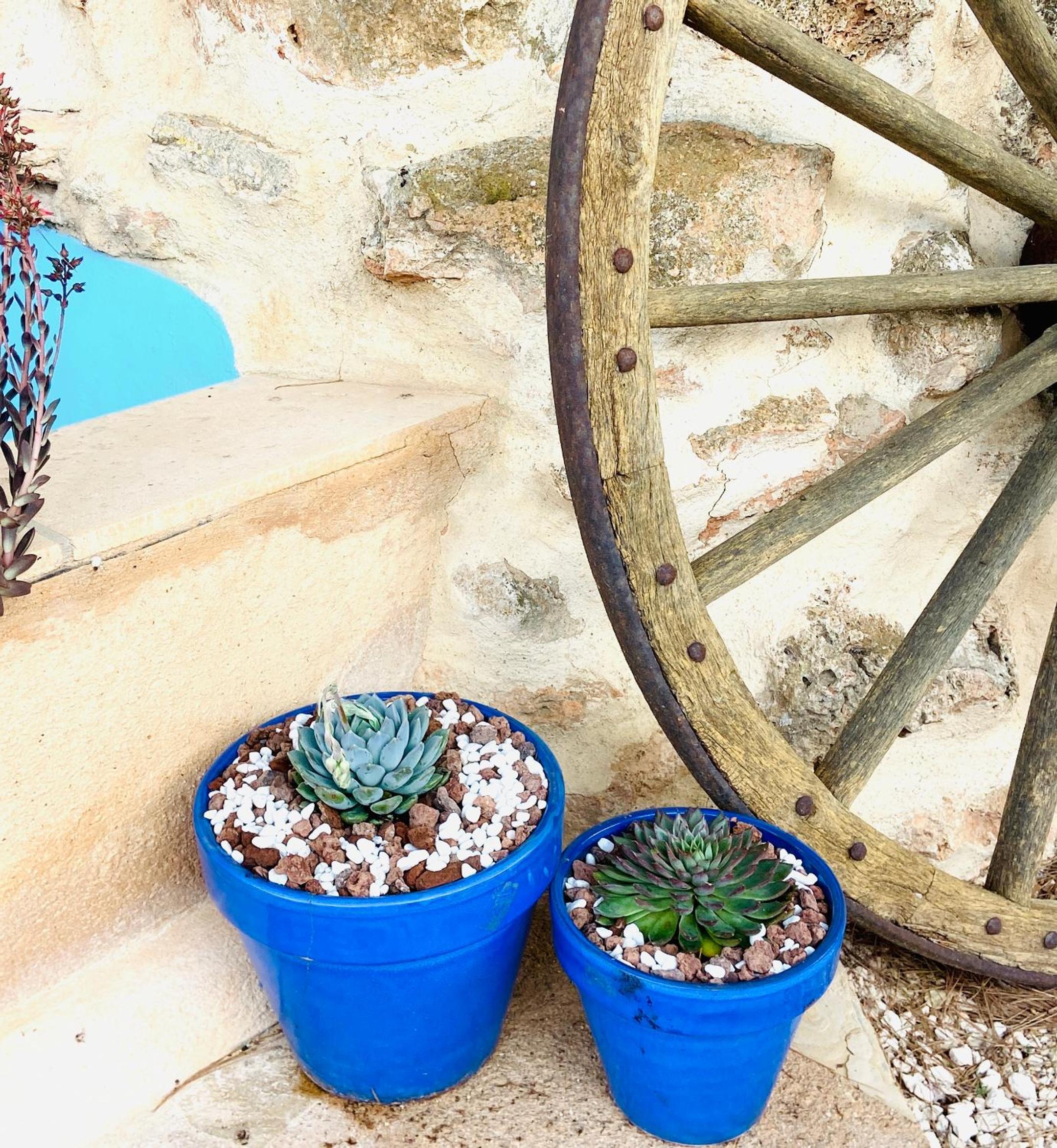 Finca Sa Canova Agroturismo
