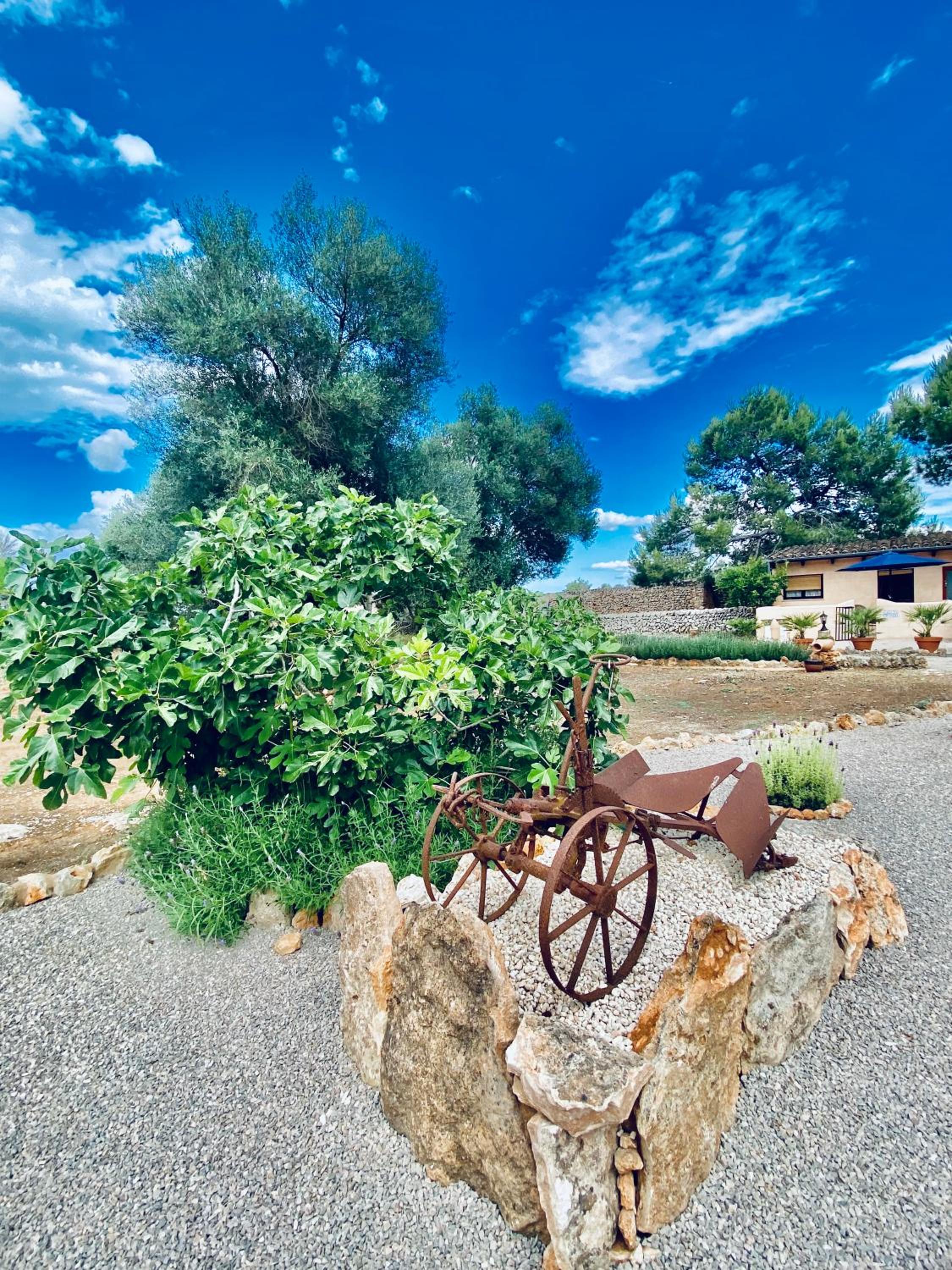 Finca Sa Canova Agroturismo