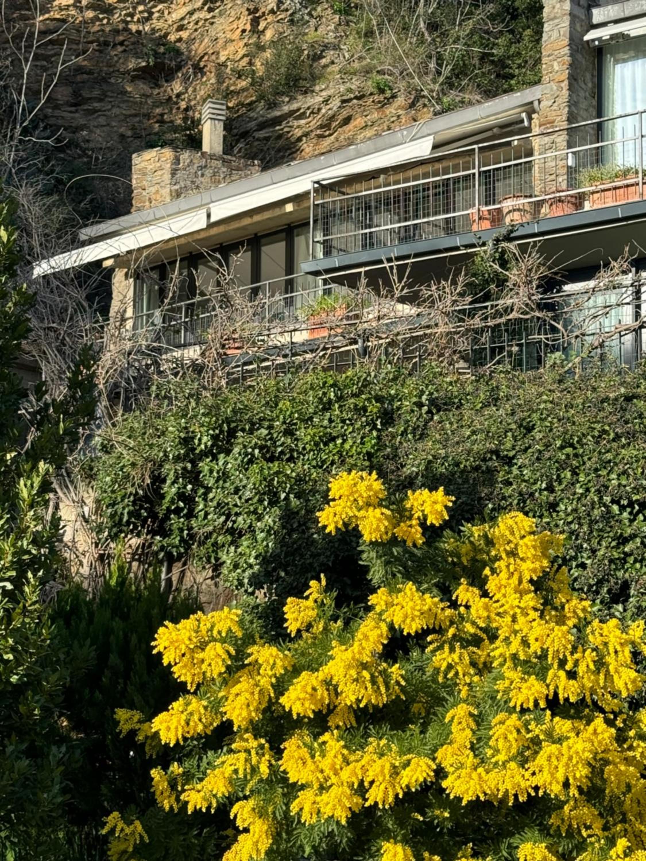 Florence Rock Apartment