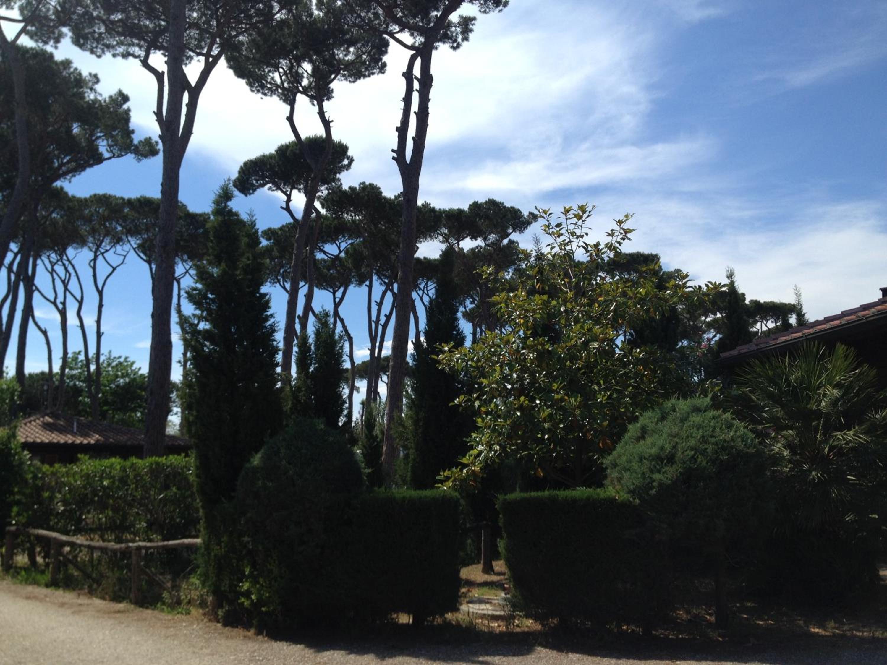 Camping Paradiso