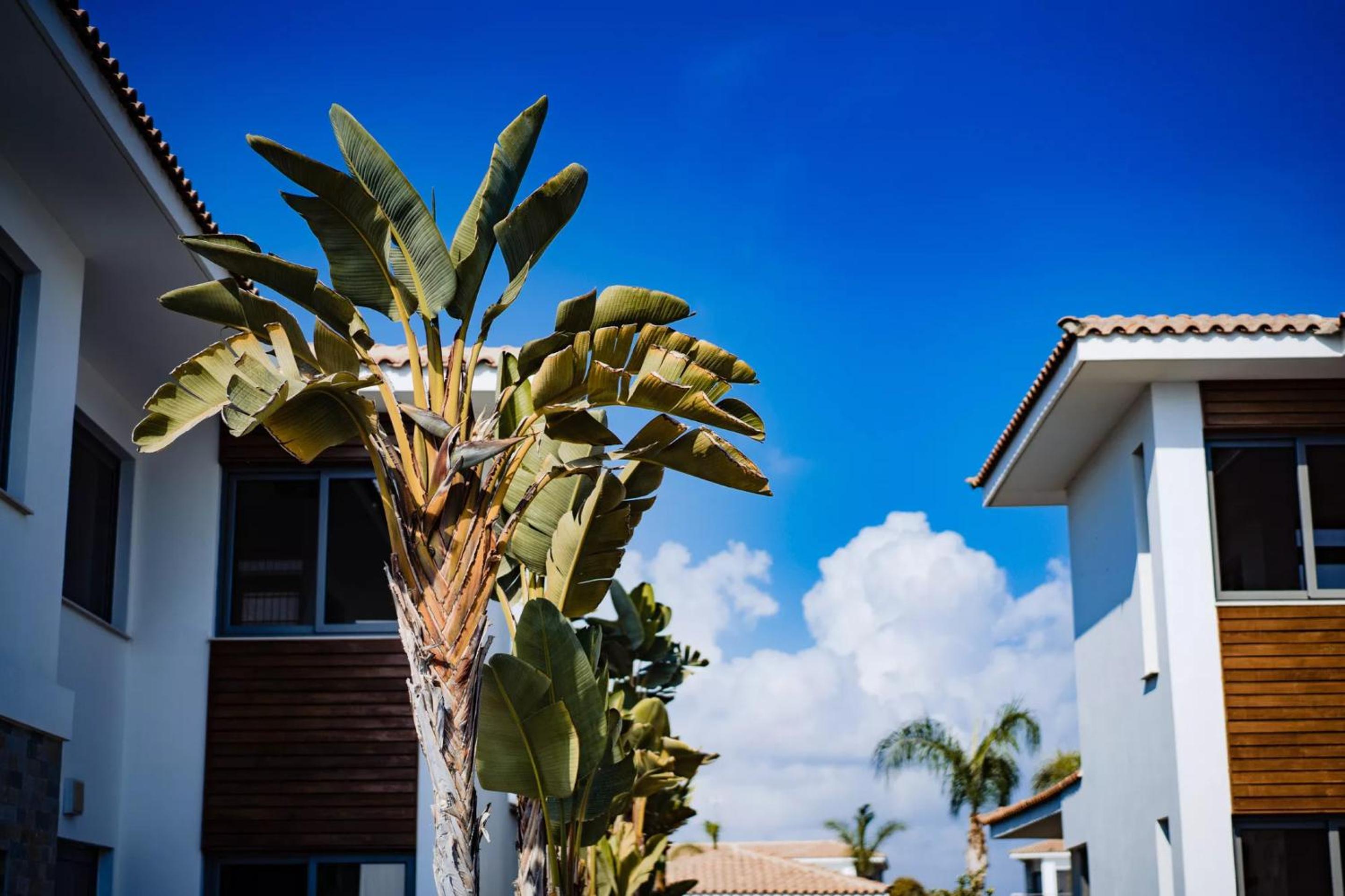 Luxury Beachfront Villa With Private Pool, Private Beach, Yoga & Sea Adventures