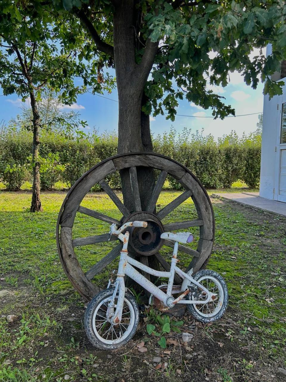 BARRIO VIEJO