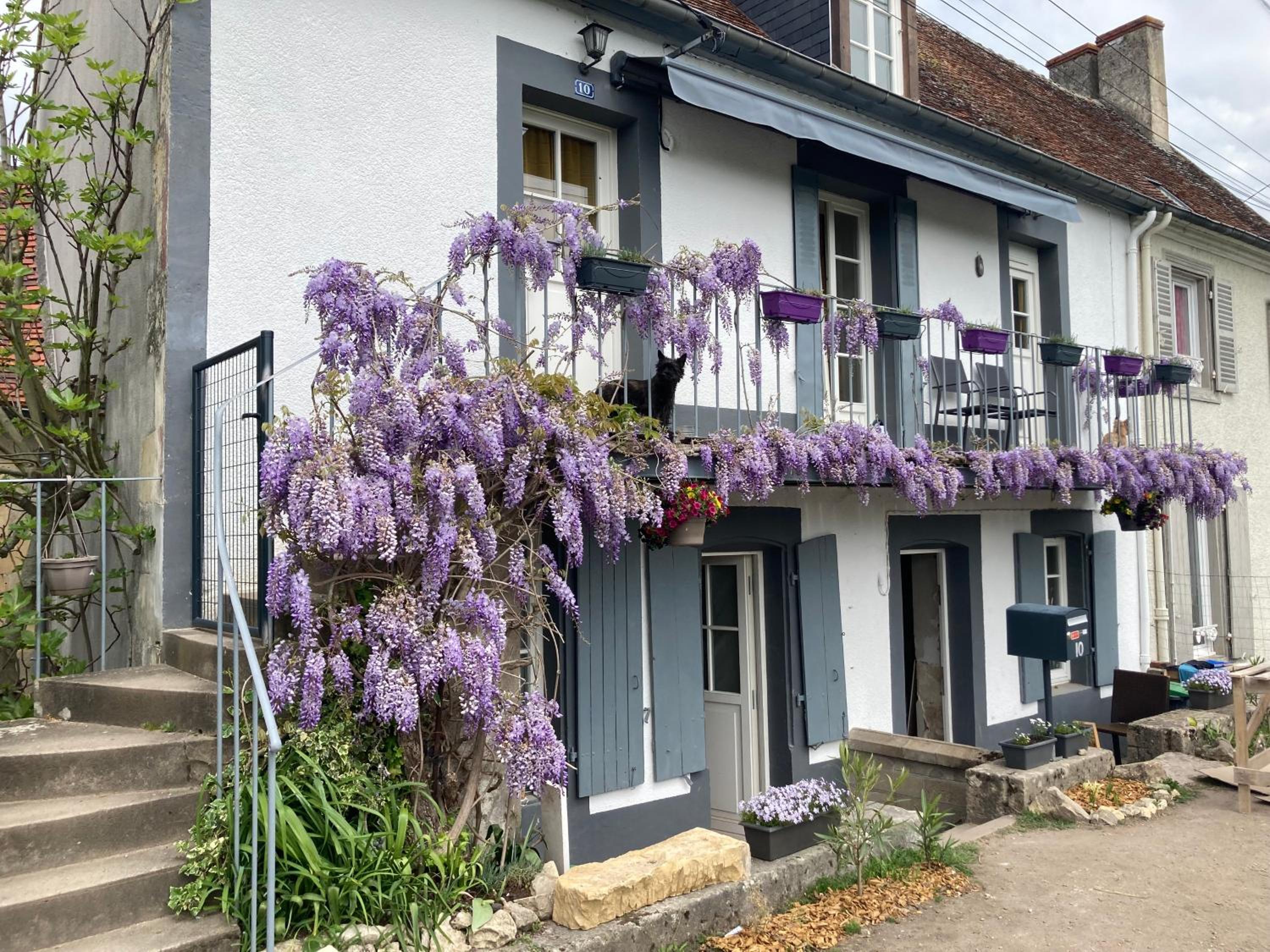 Le Lodge de Serenite