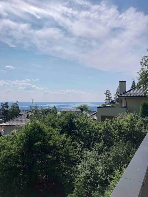The best view in Oslo view 5