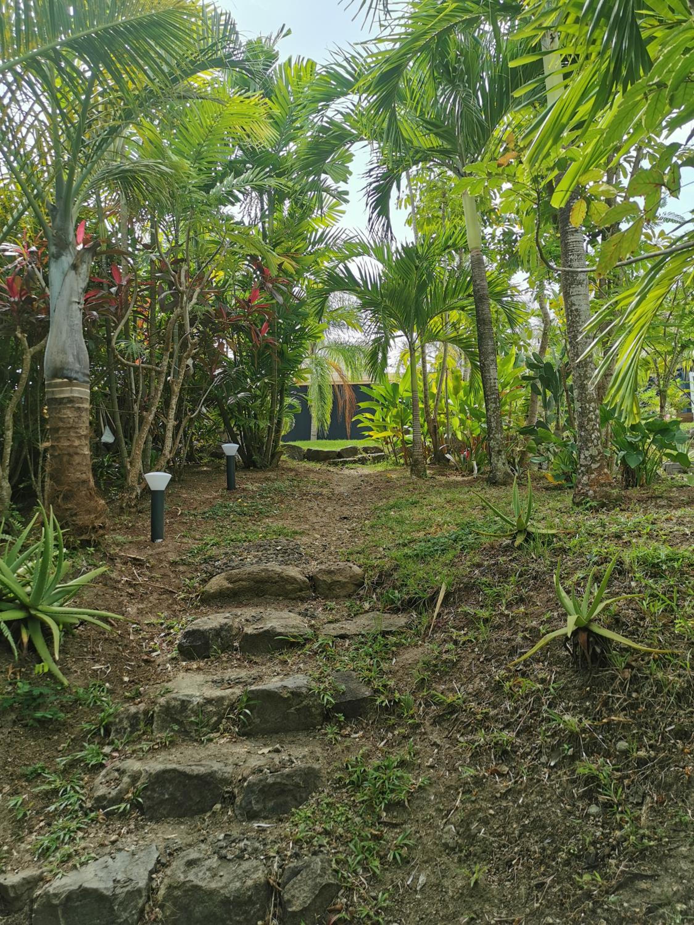 Lodge Pitaya 14 pers 3 piscines 3 logements Au Diamant view 4
