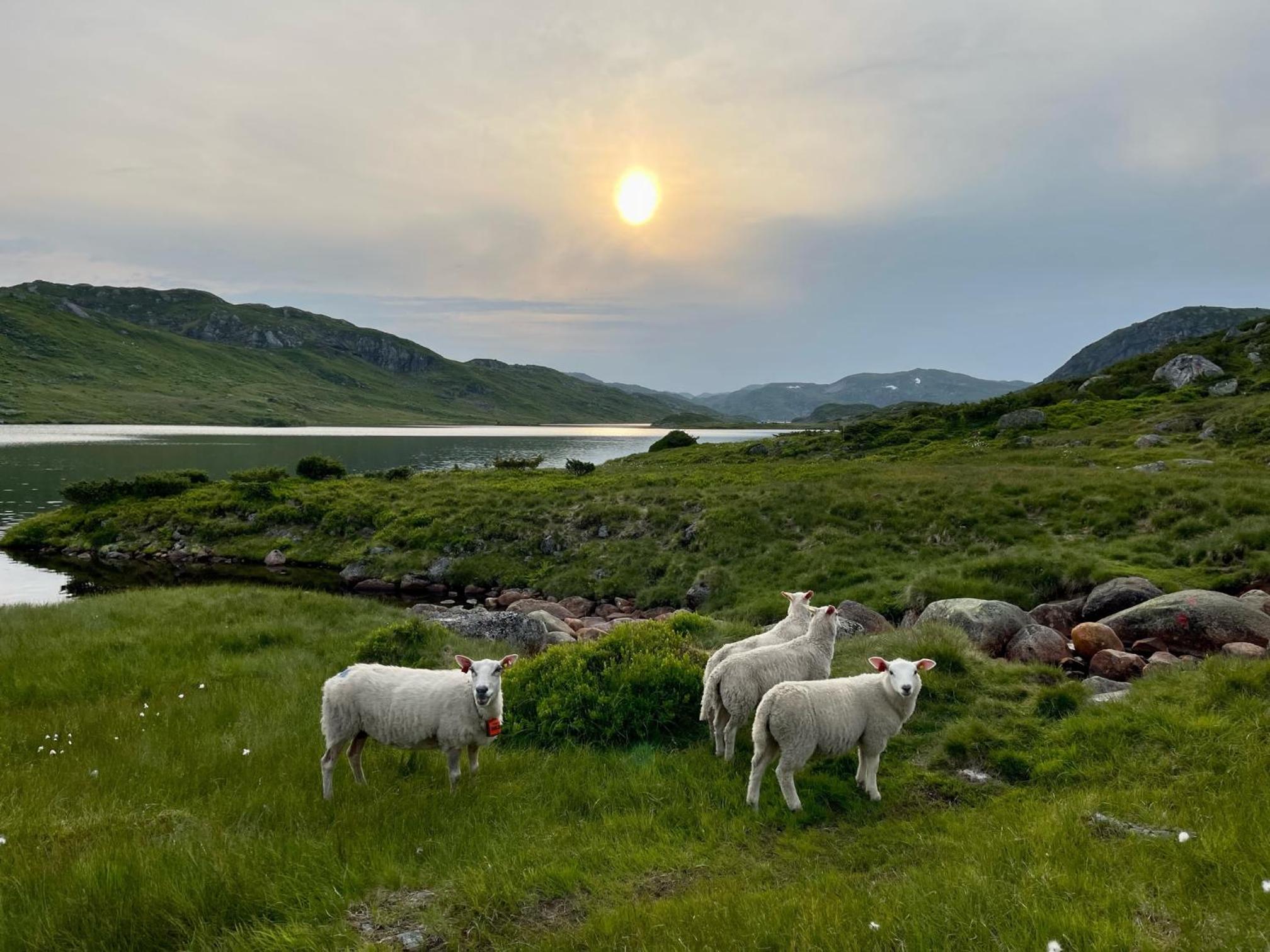Gårdshus med unik atmosfære sentralt i Sirdal view 5