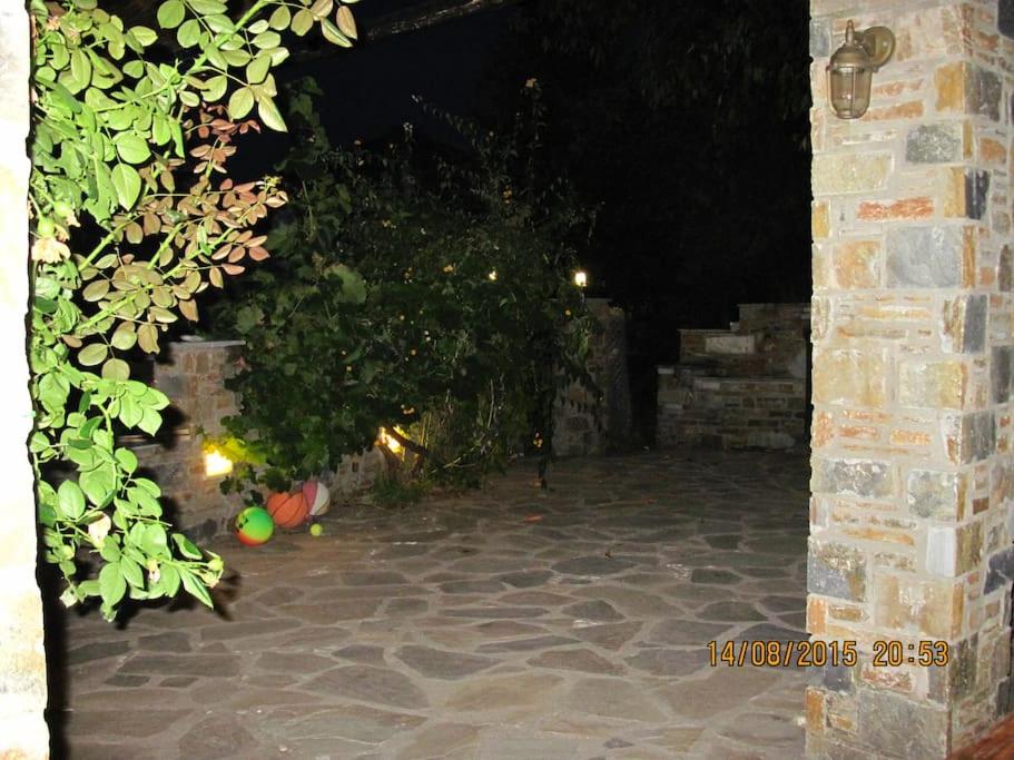 Photo 21