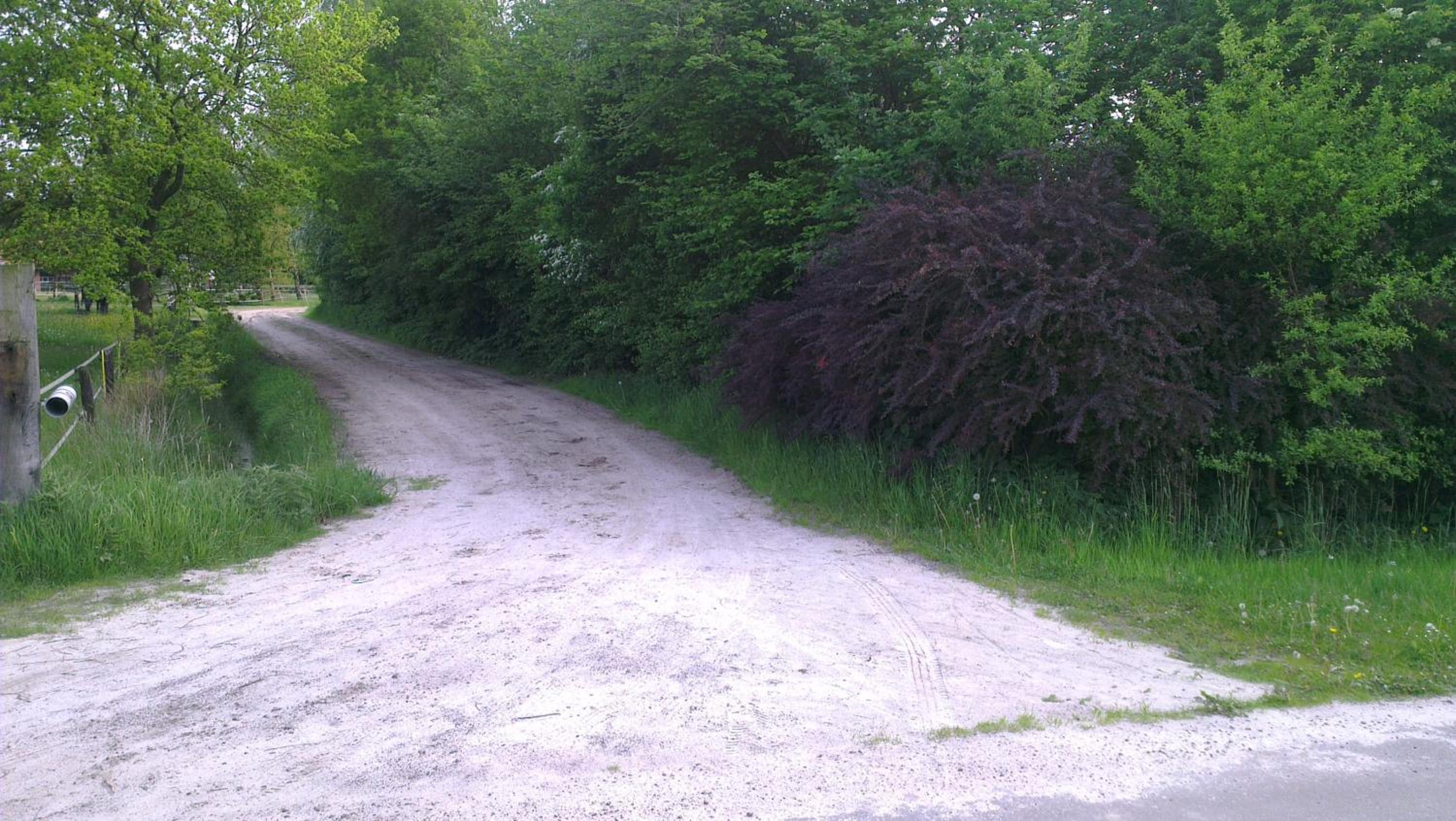 Photo 35