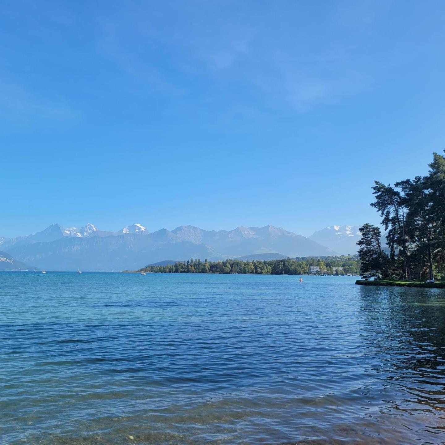 Chalet Nature Park 