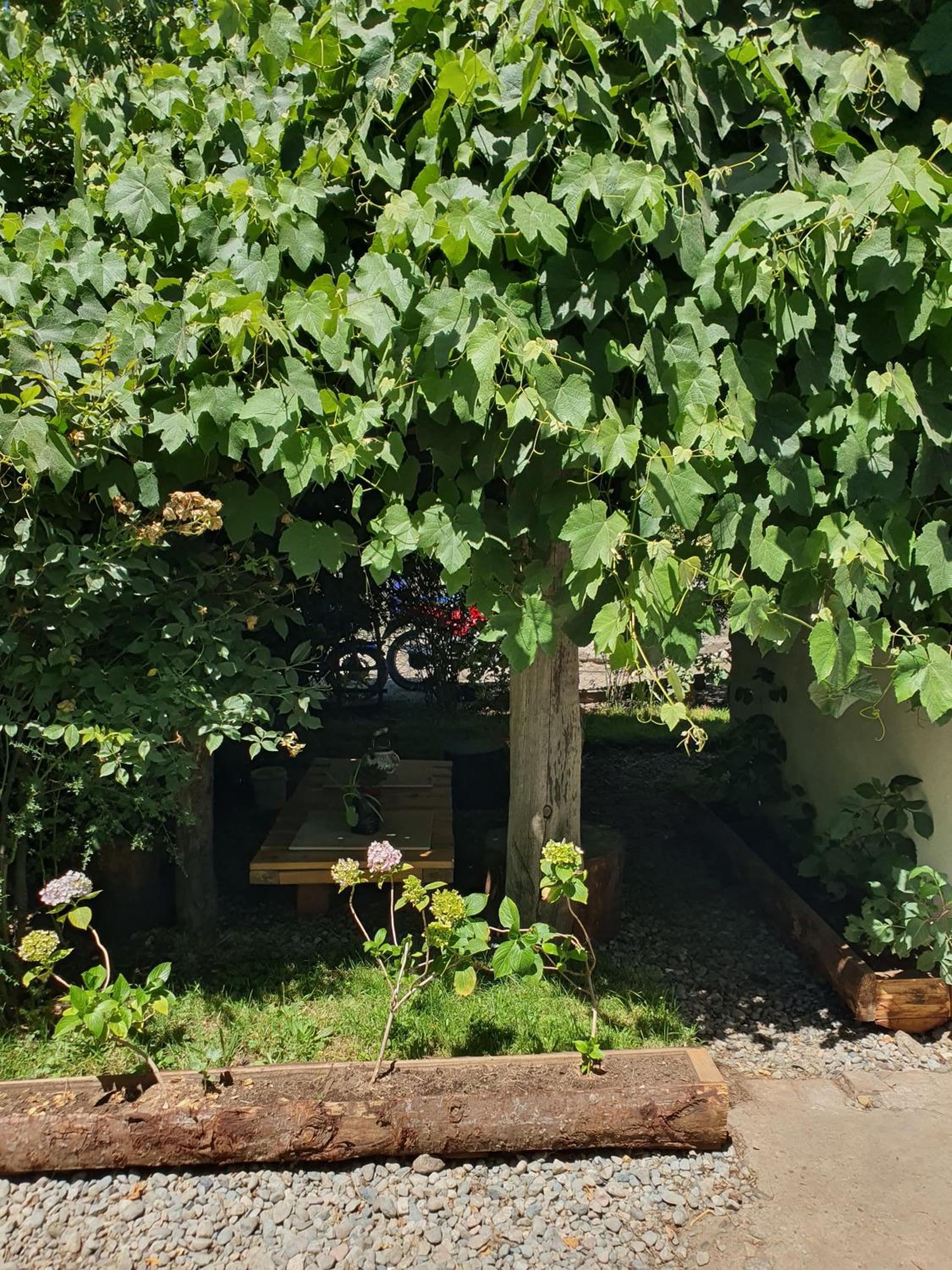 Entre Jardines