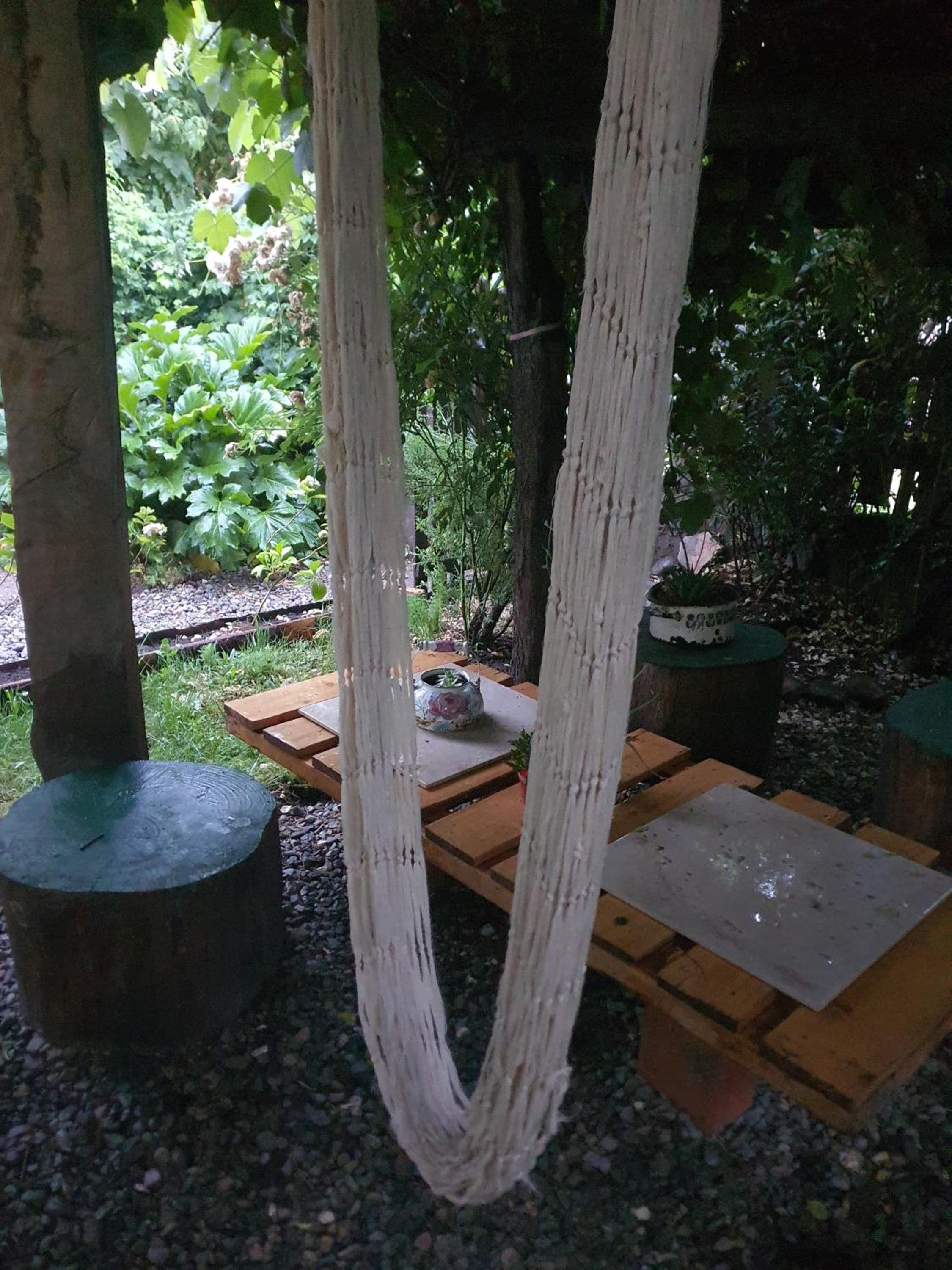 Entre Jardines