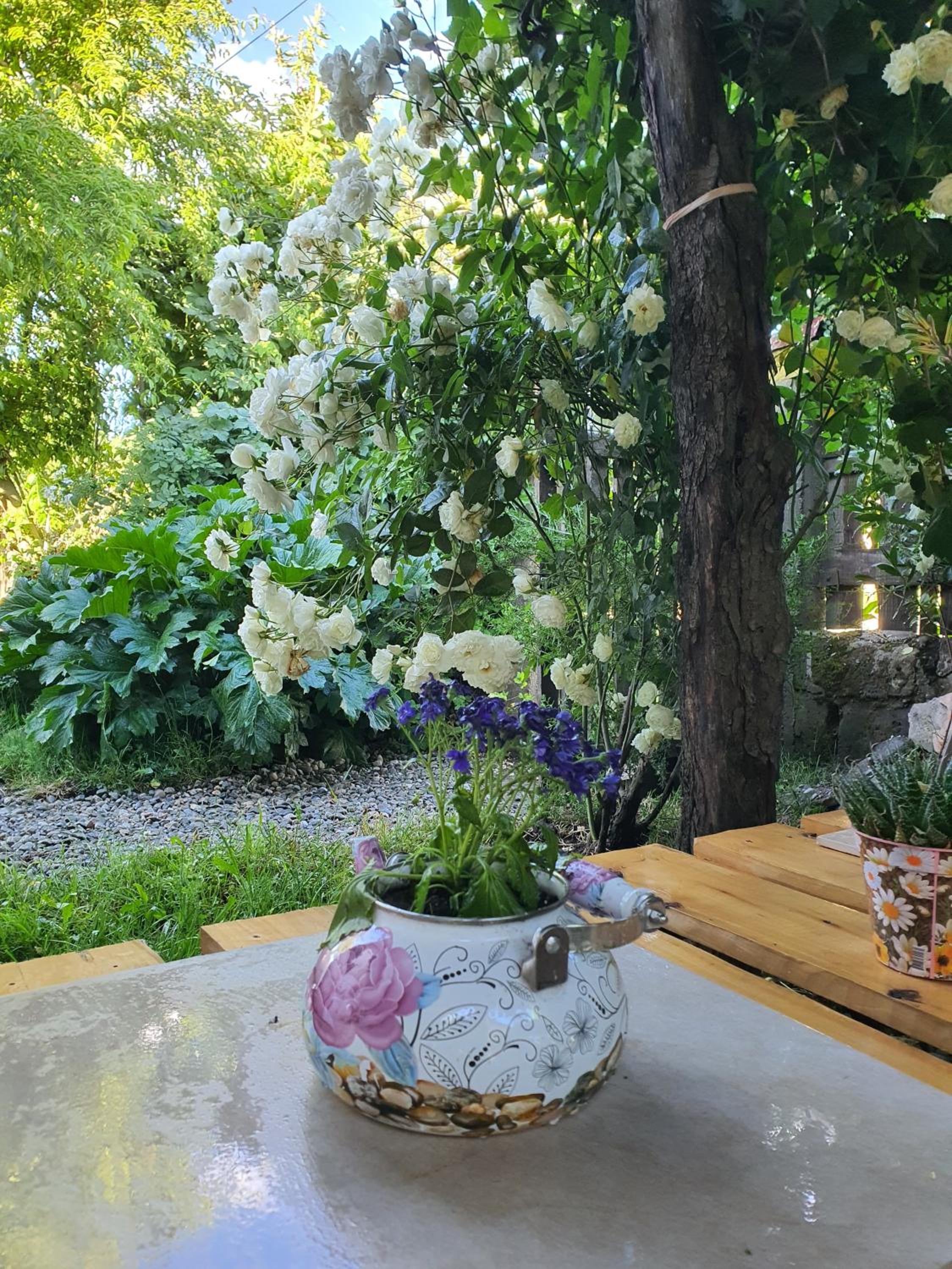 Entre Jardines