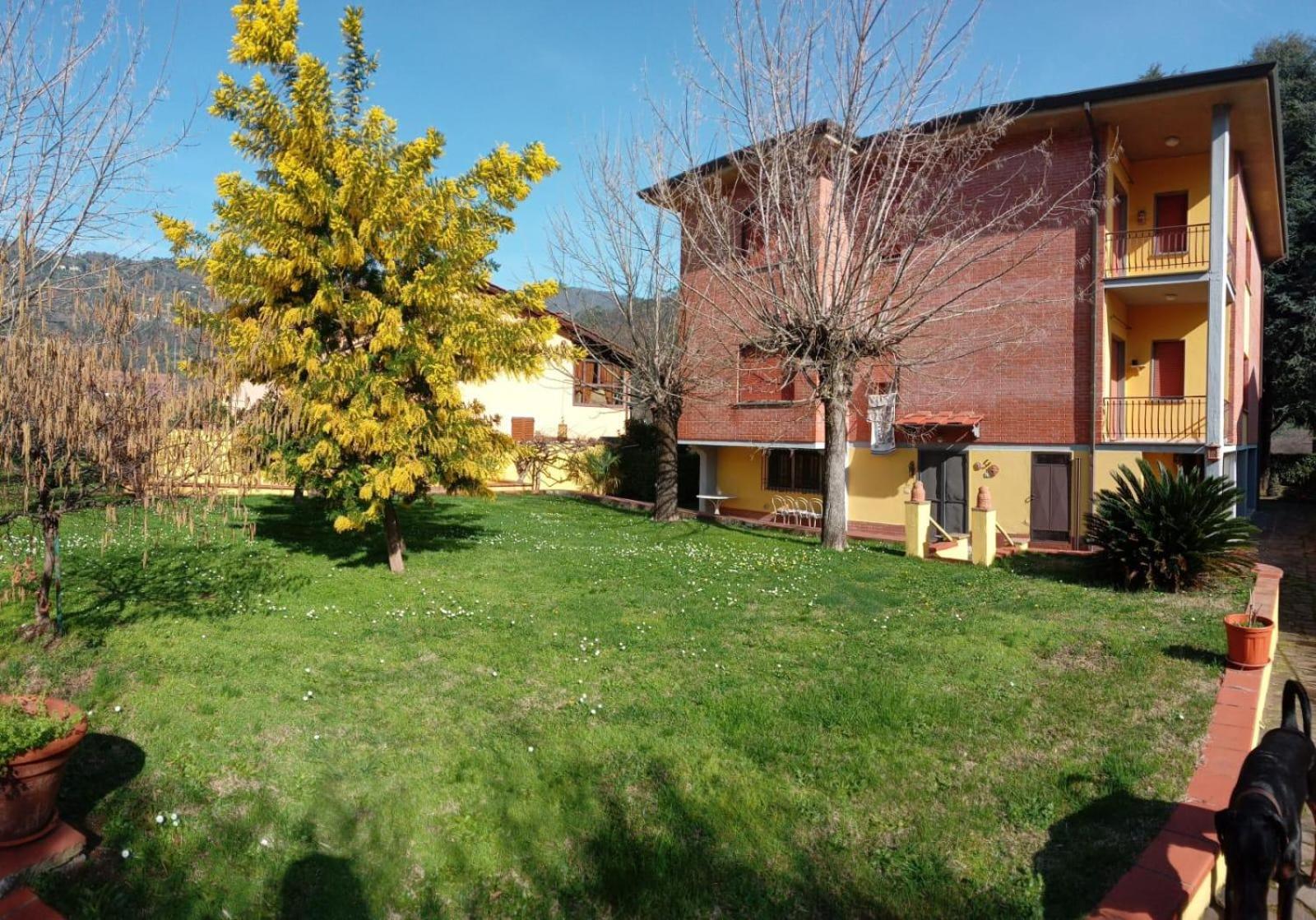 Photo 45