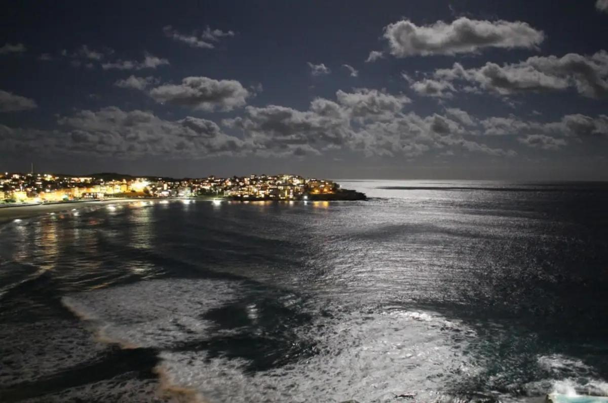 Studio Bondi Beach