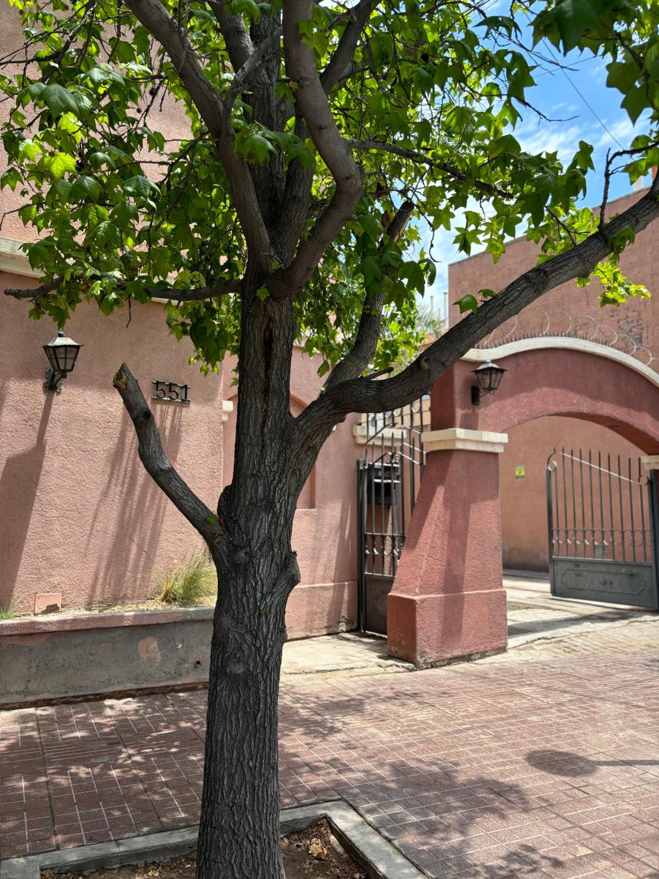 DEPARTAMENTO COMPLEJO PRIVADO