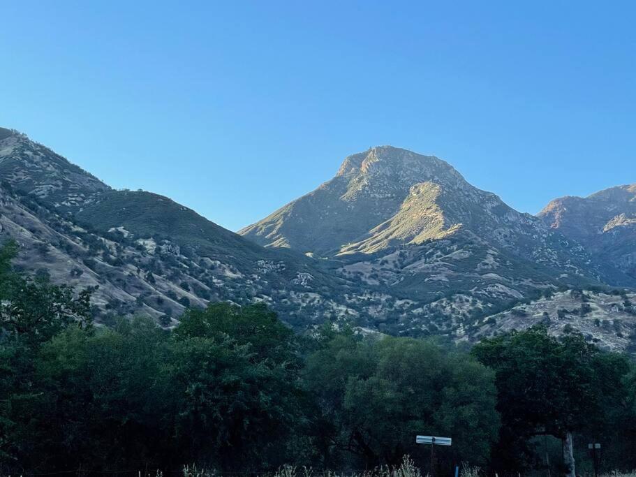 Photo 46