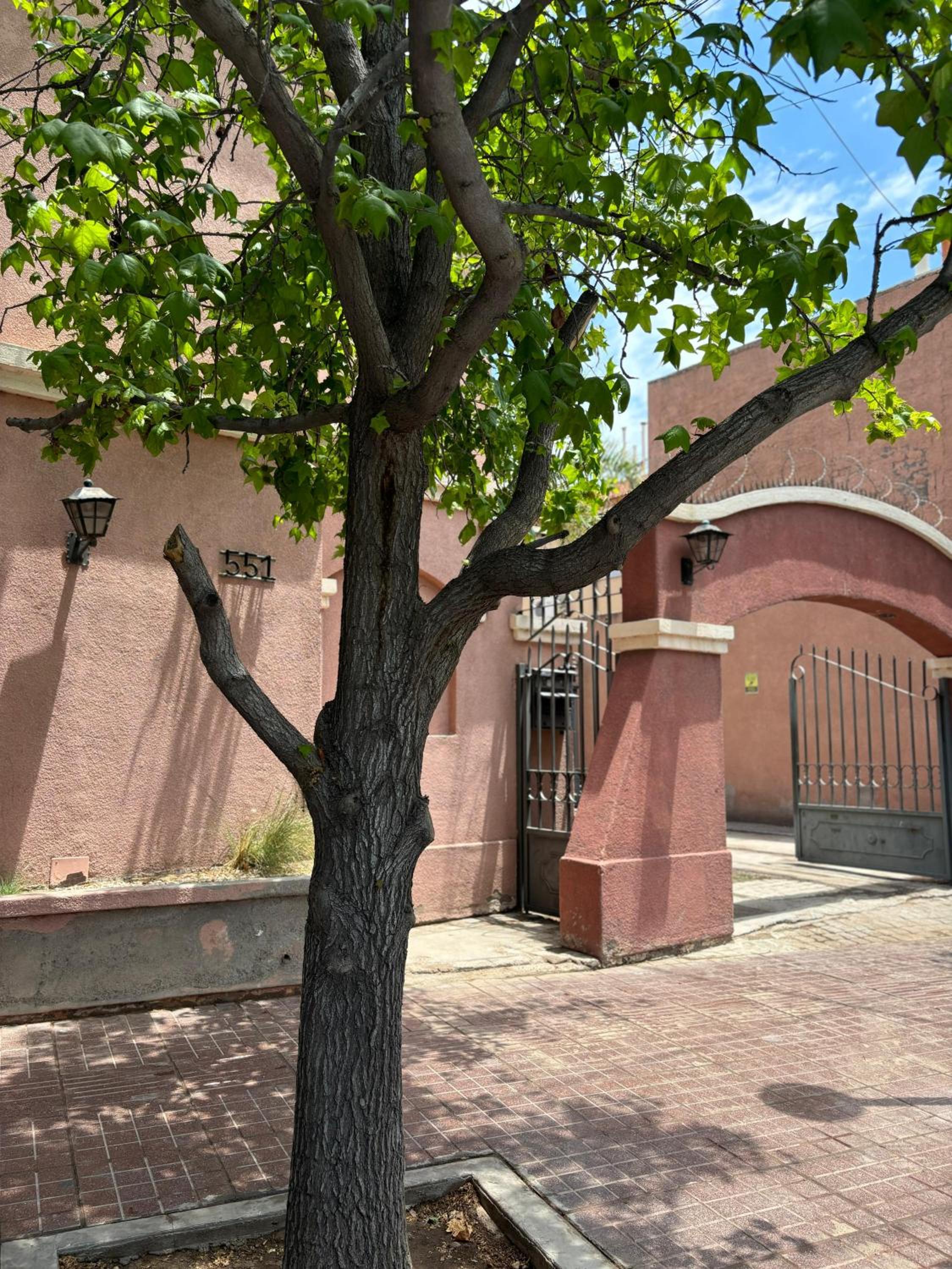 DEPARTAMENTO COMPLEJO PRIVADO