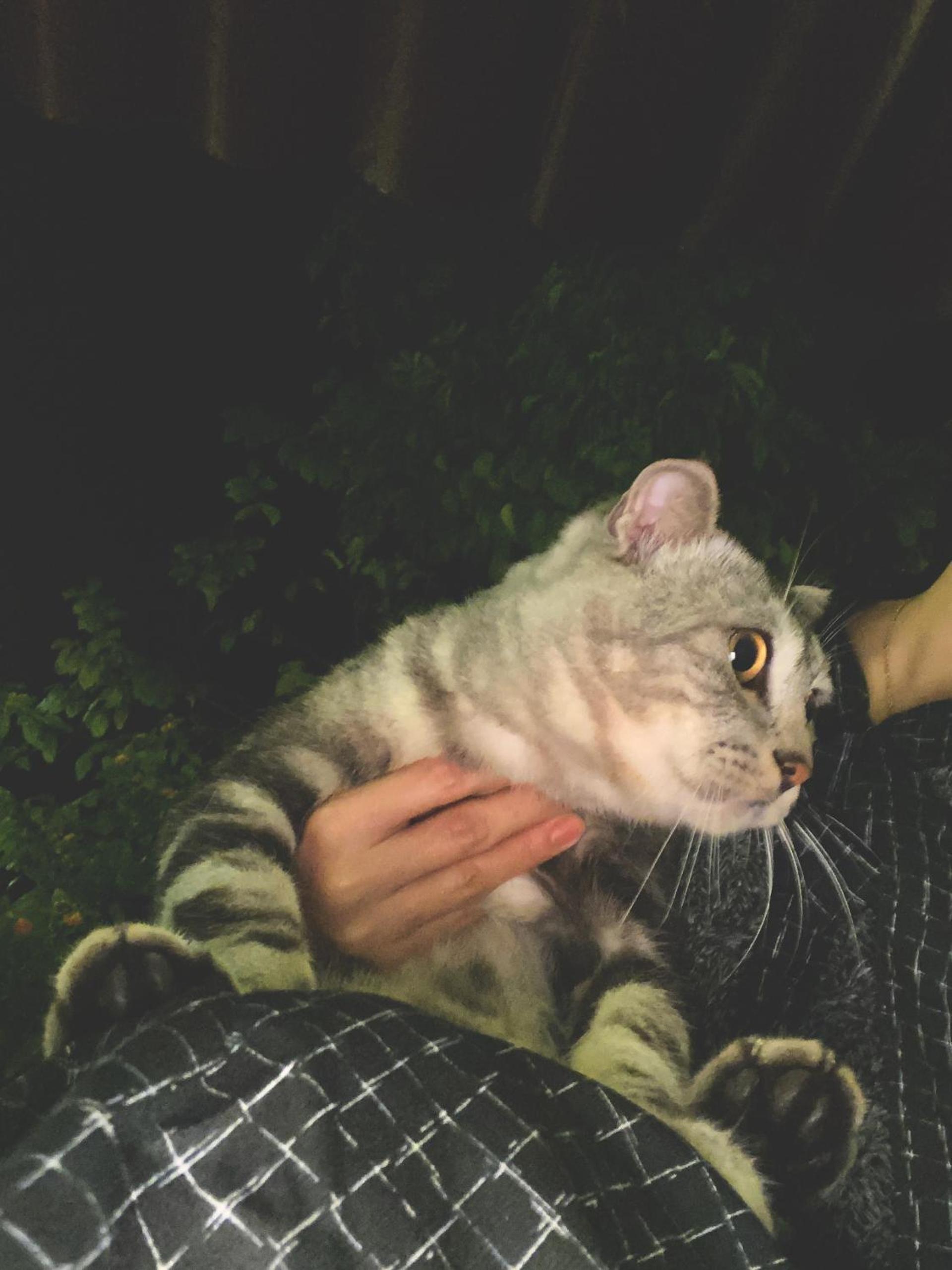 Photo 133