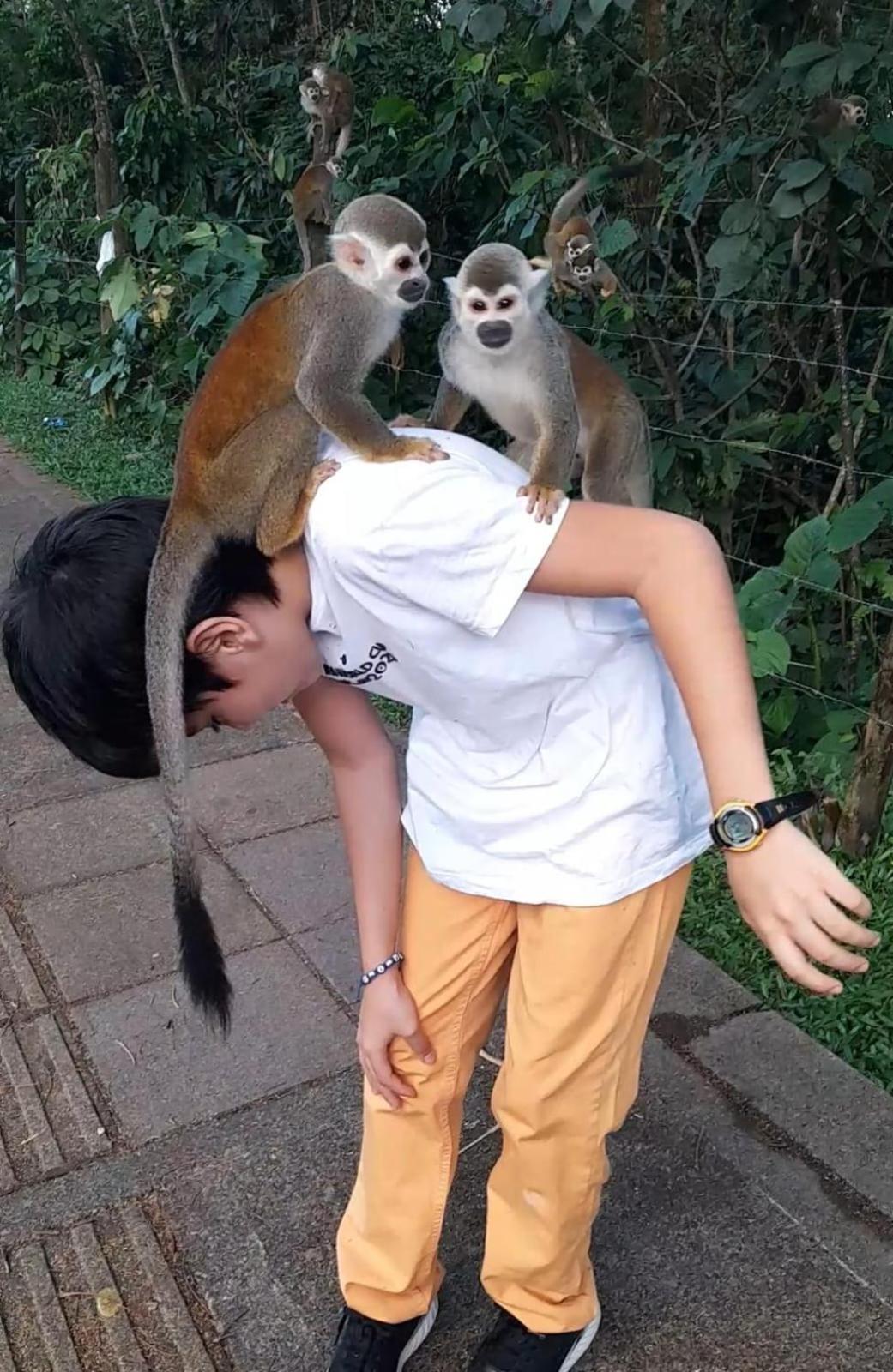 human