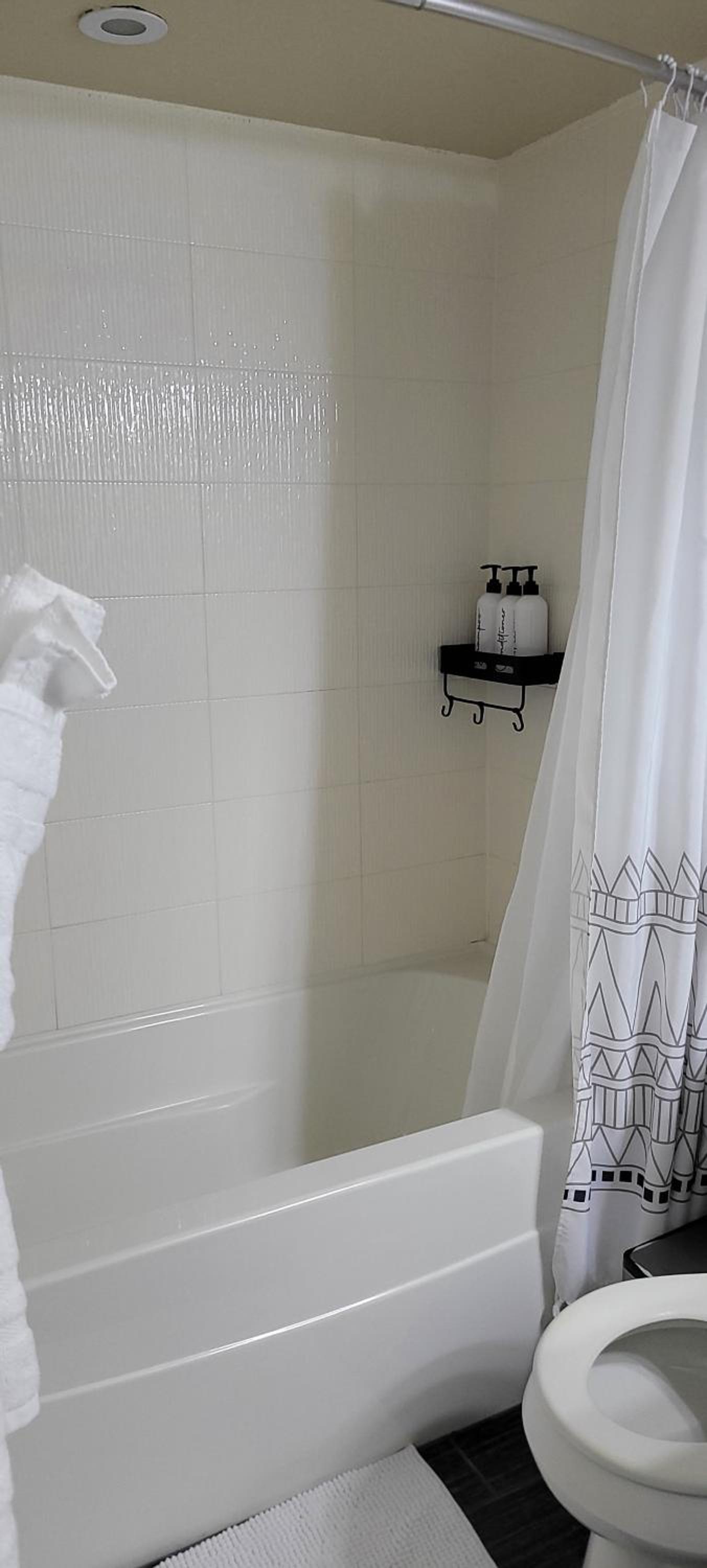 Smart Stylish Downtown Condo- 2 bedrooms