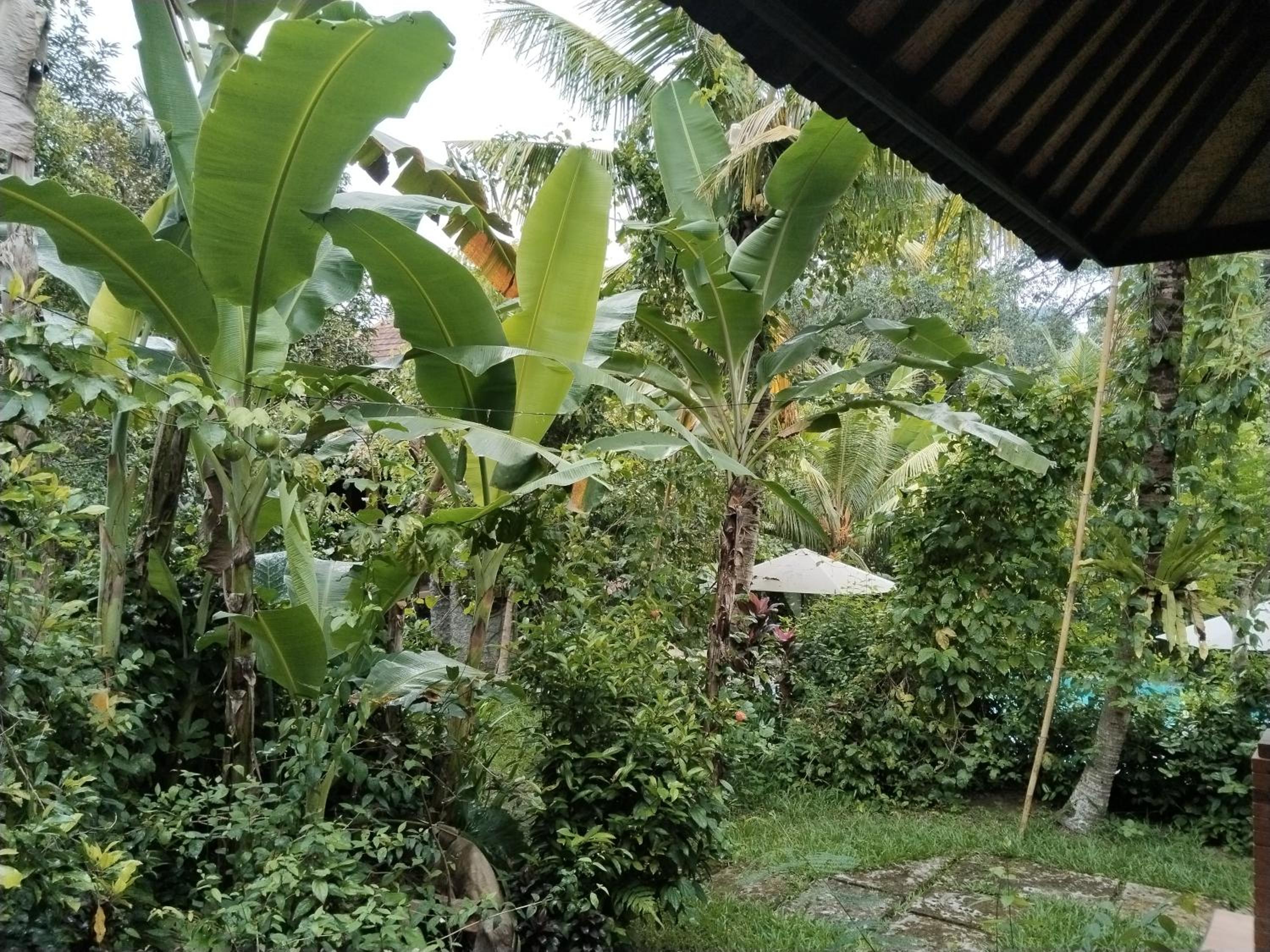 Khrisna Hs and Cottages view 5