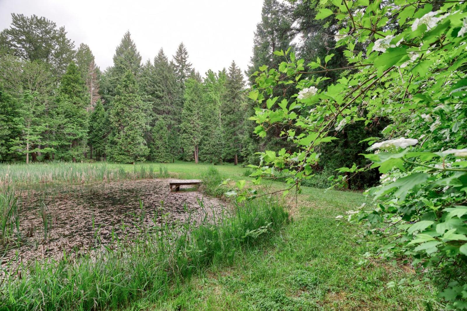Blissful Solitude Cottage