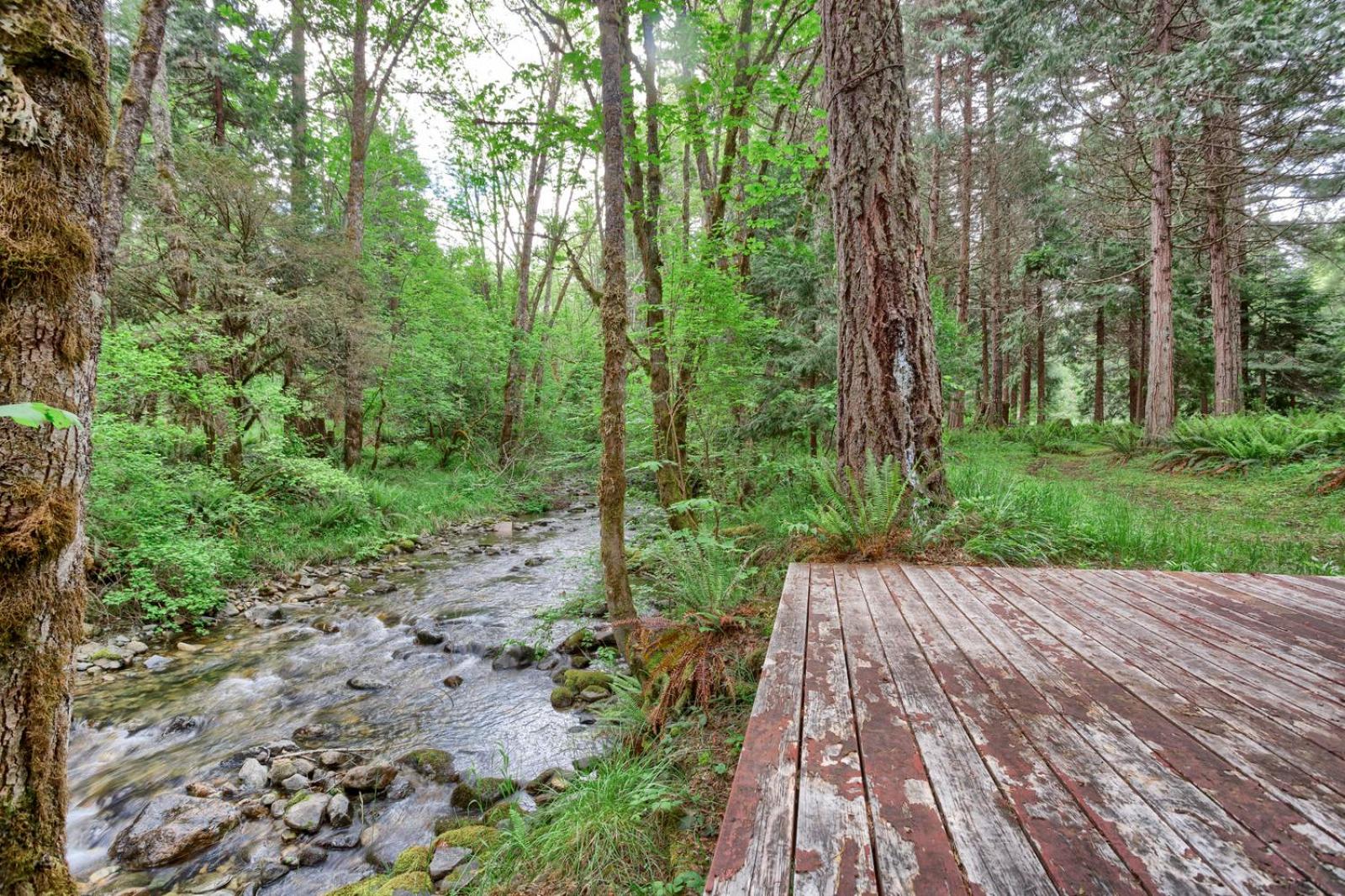 Blissful Solitude Cottage
