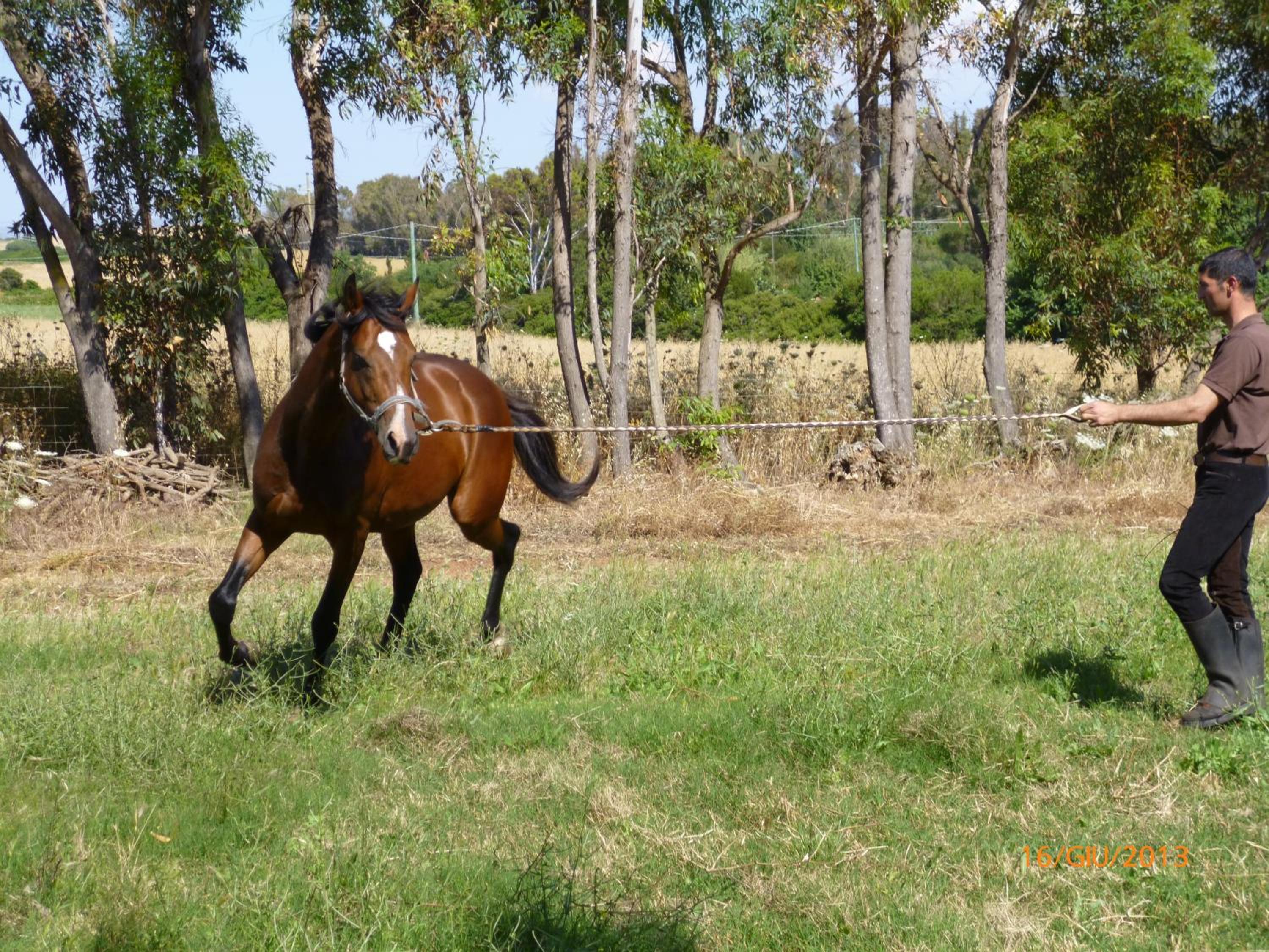 Agriturismo Cuile de Molino