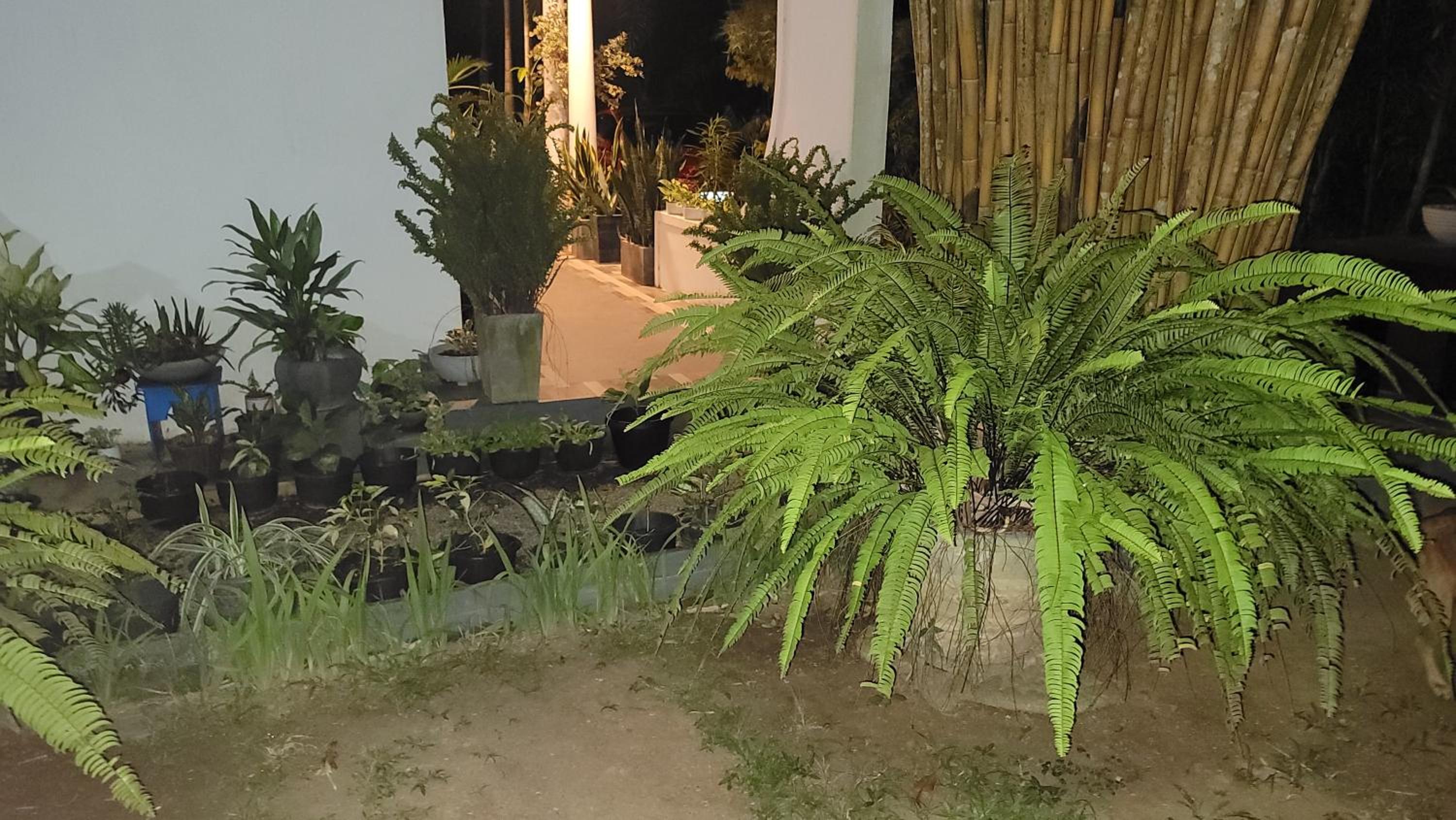 Nature Villa Resort