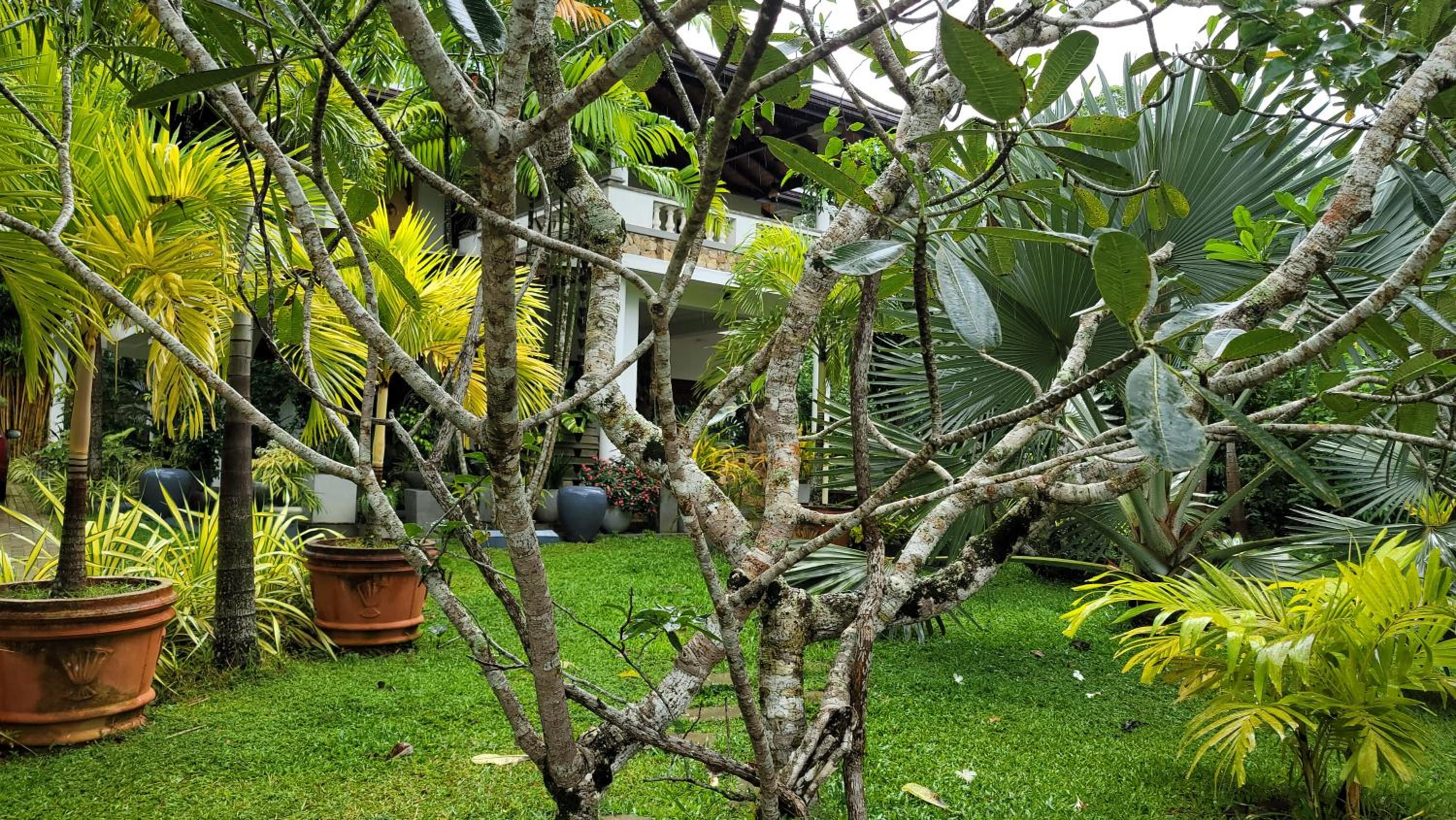 Nature Villa Resort