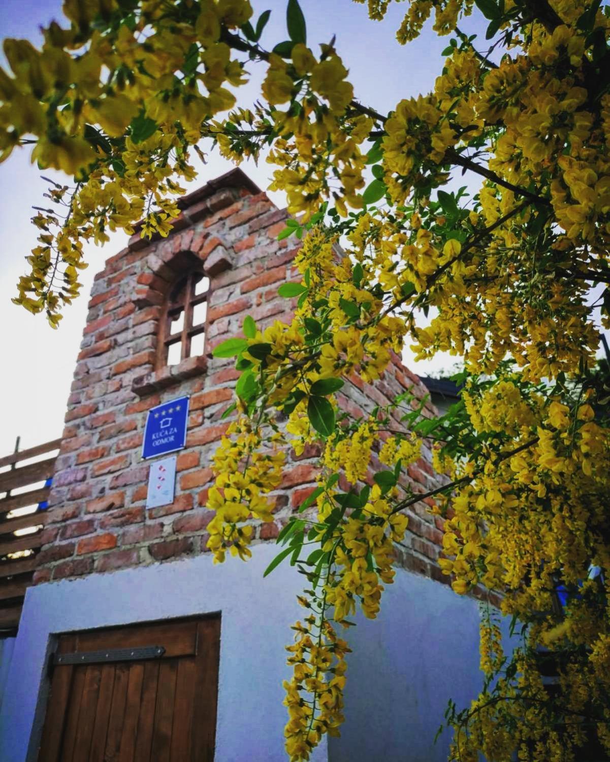 Hotel Amazing Milk and Honey cottage with hill views - Image 1