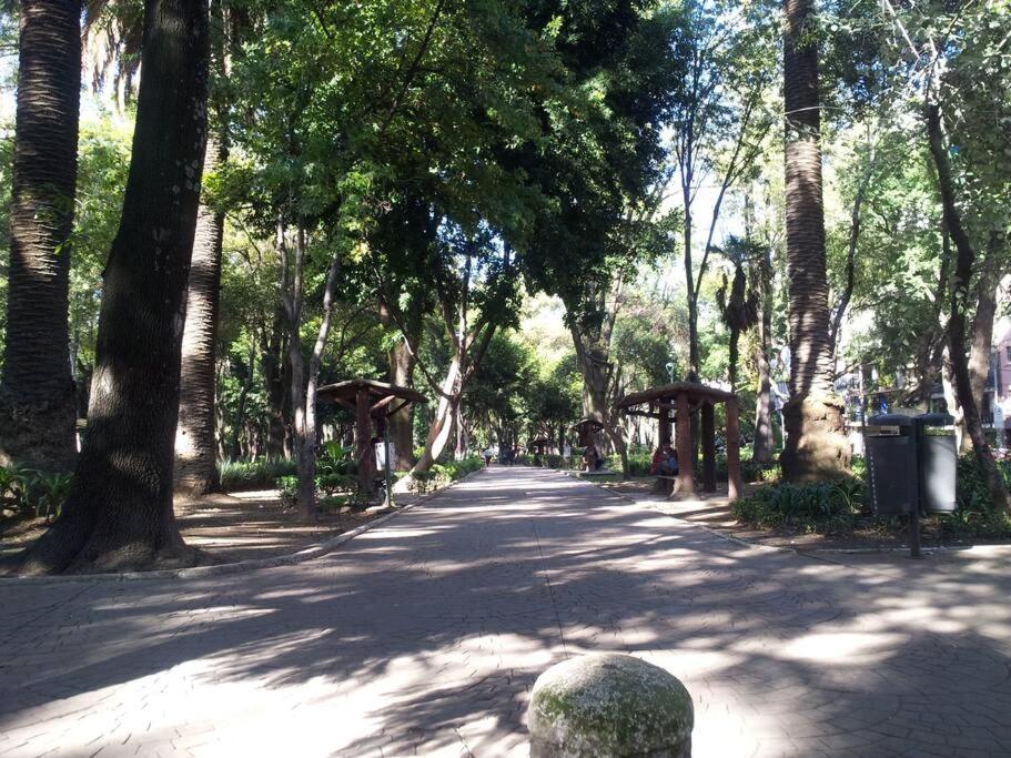 Parque Mexico appartment. Very sunny and renewed flat. photo 2