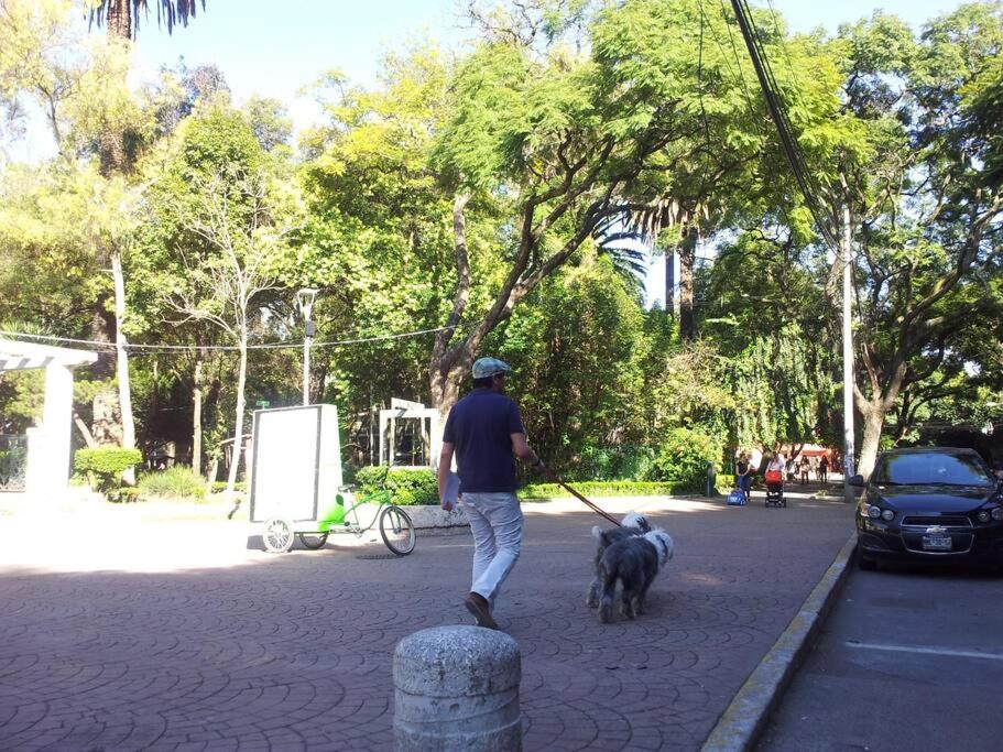 Parque Mexico appartment. Very sunny and renewed flat.