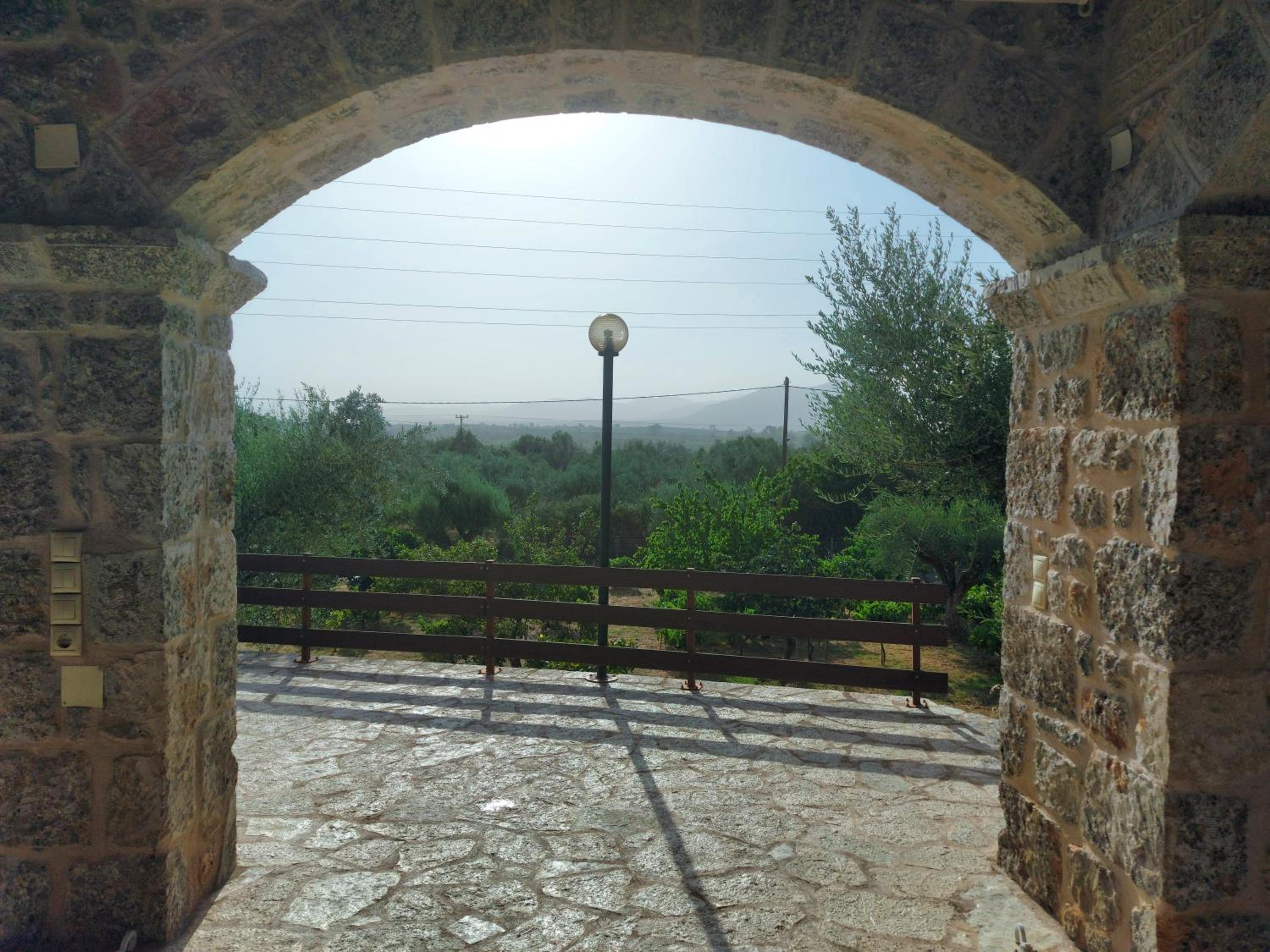 homonatura petrinum