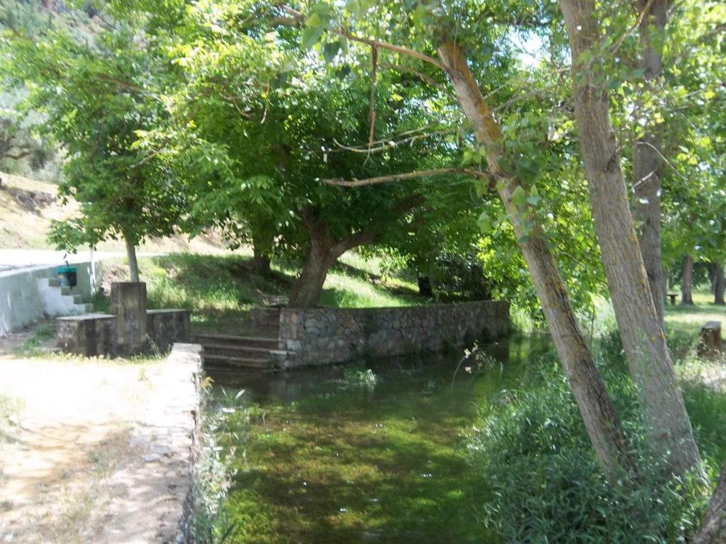 homonatura petrinum
