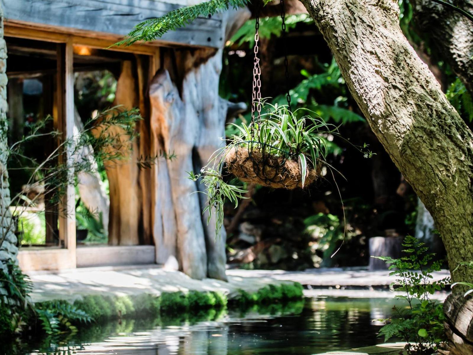 Wonderland Boutique Guesthouse & Spa