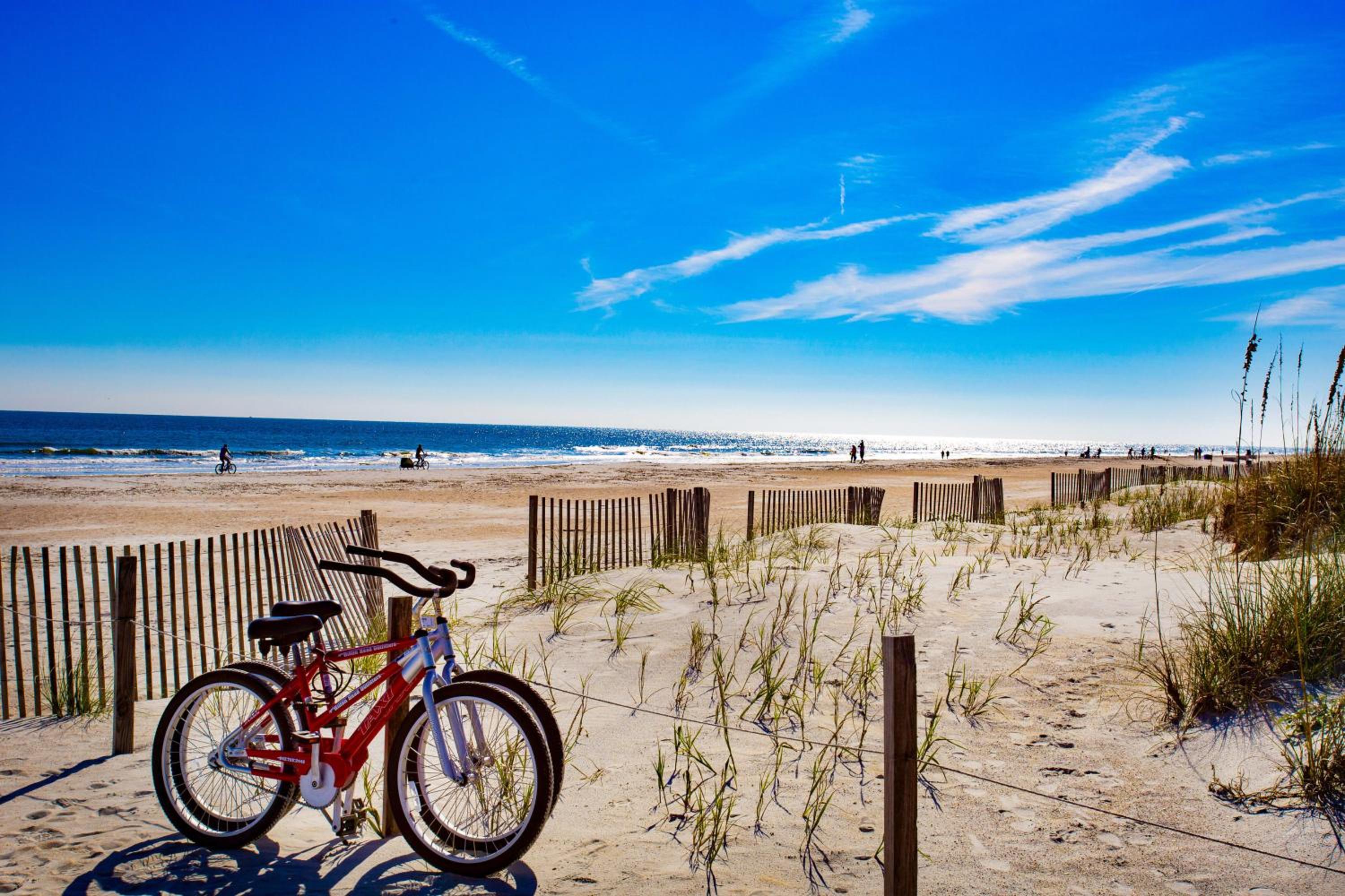 Beachfront Bliss