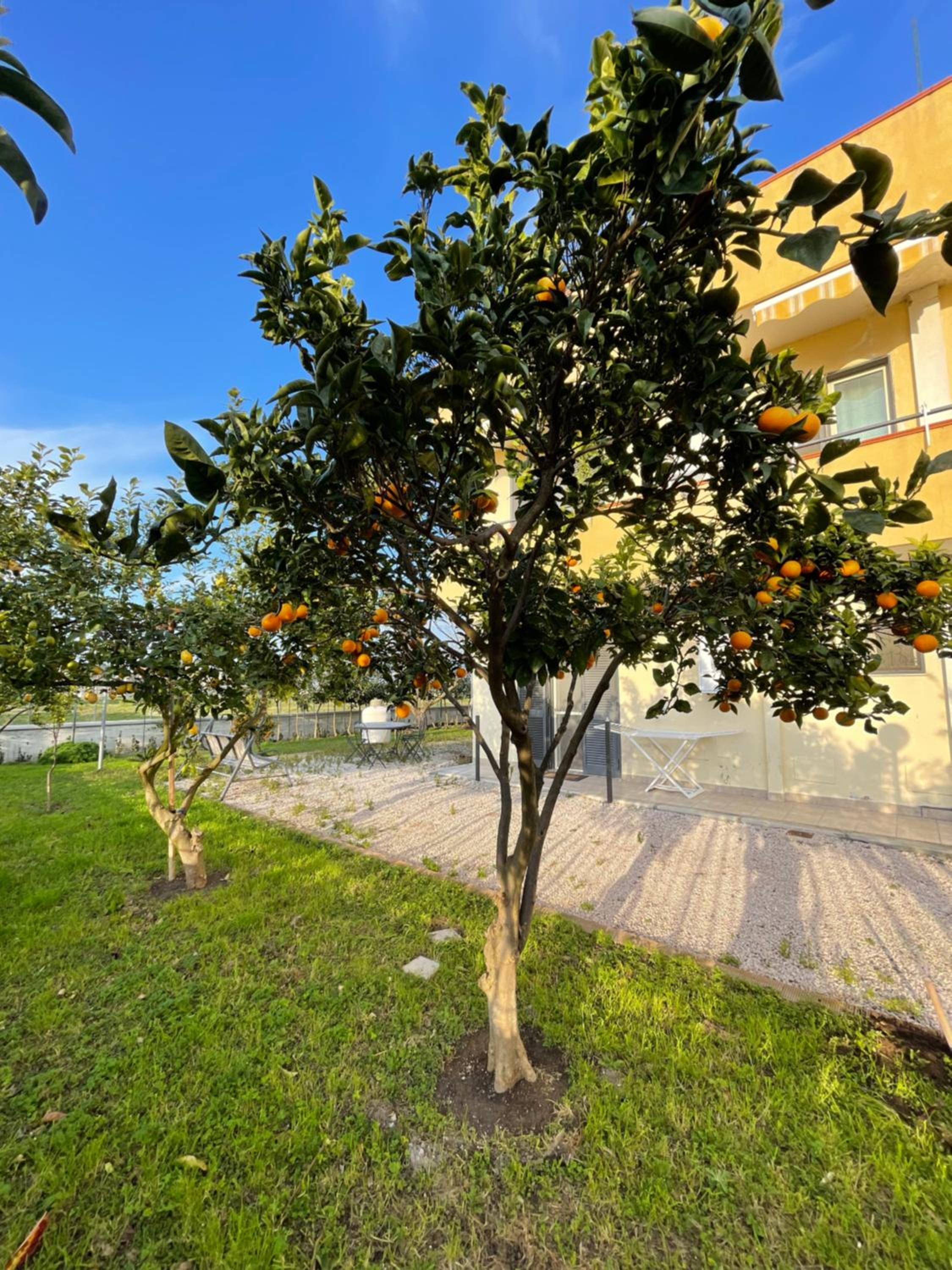 Casa Vacanze Paradise
