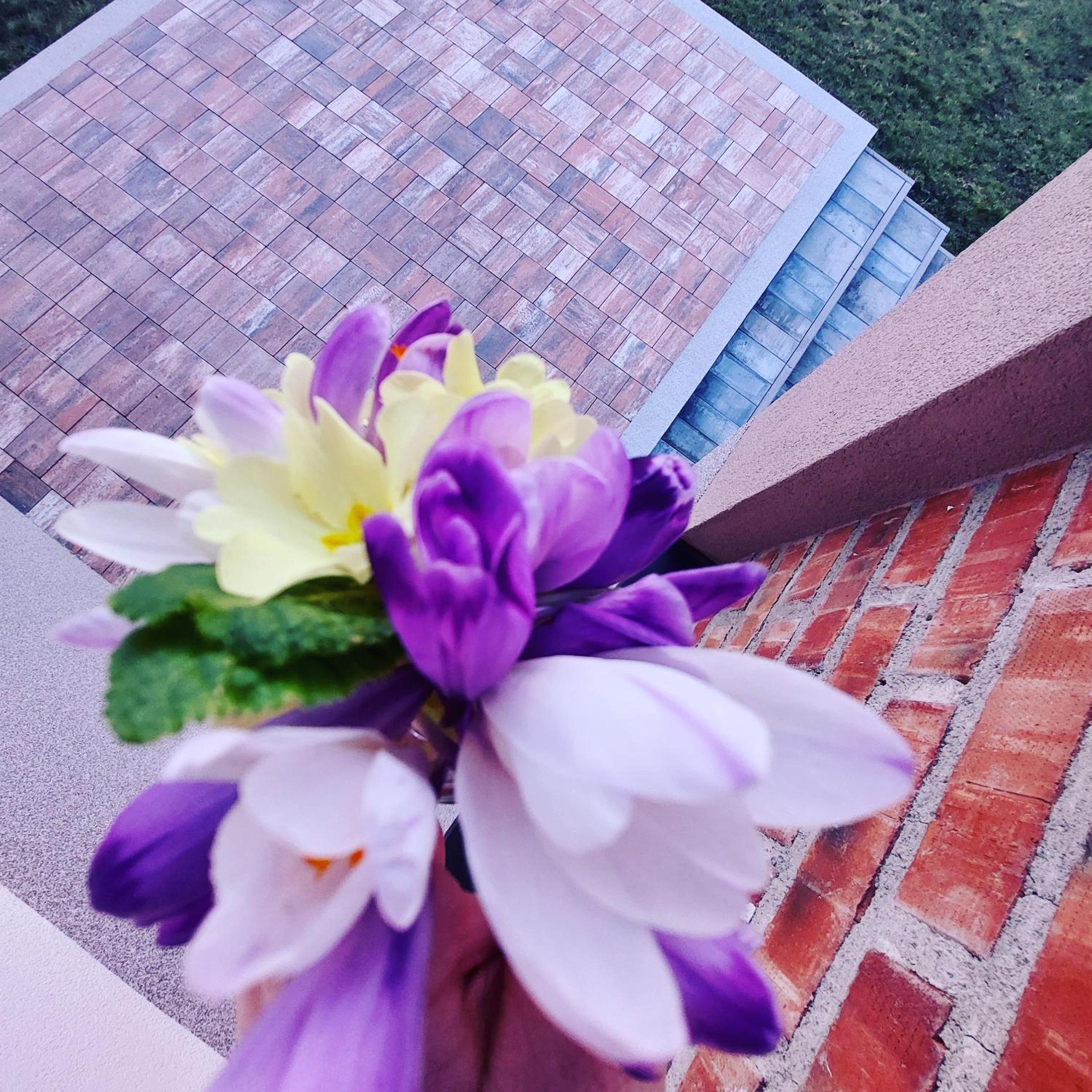 Vikendica Villa Ramona Banja Luka