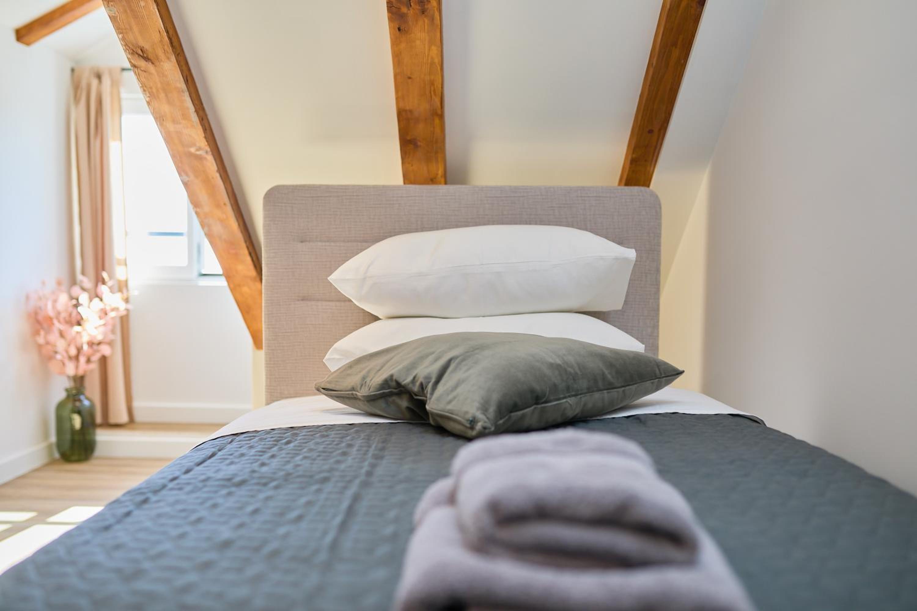 Apartment Iza Grada