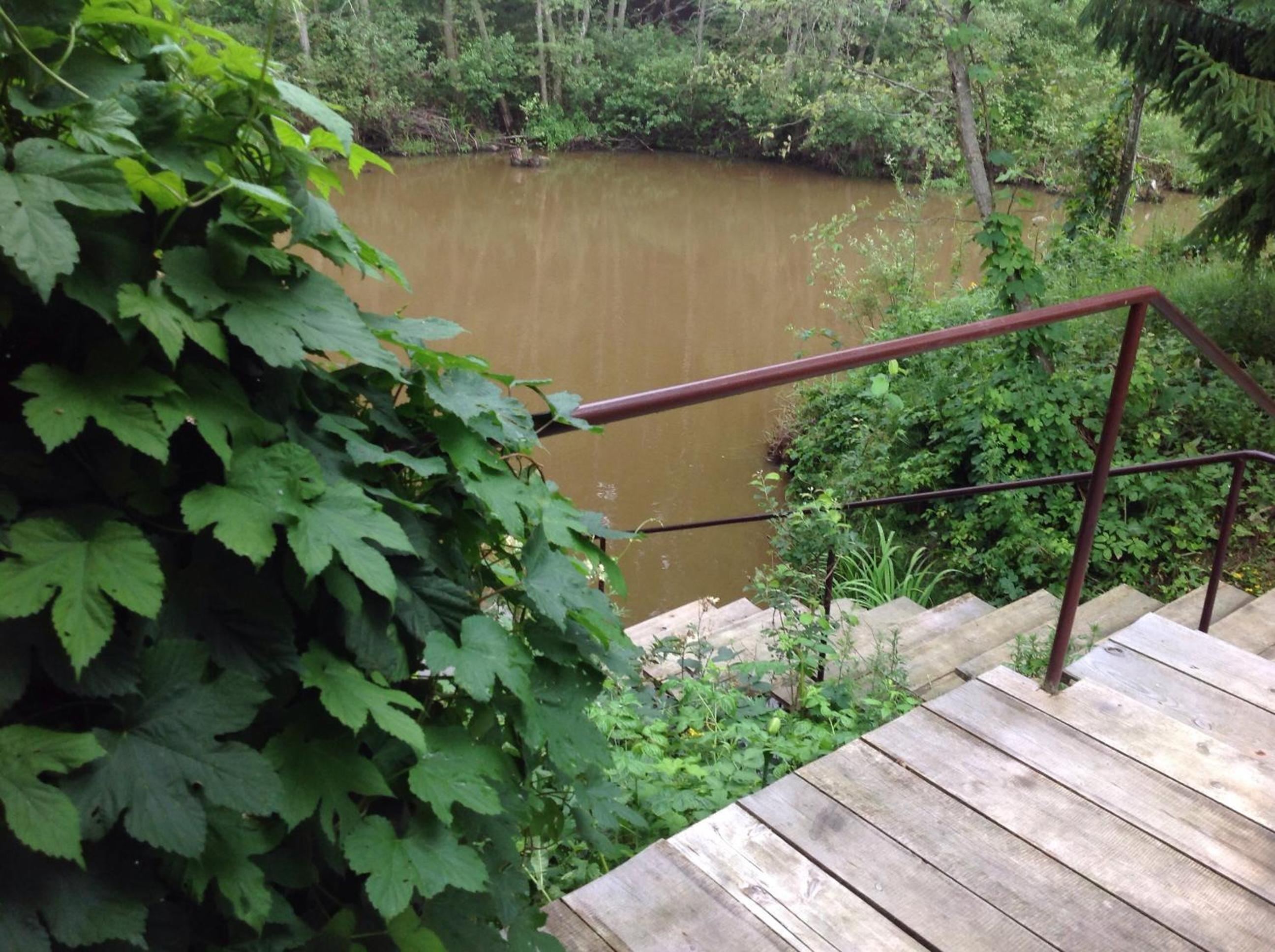 Photo 40