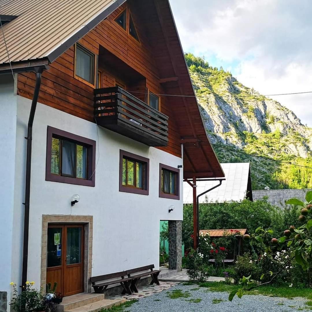 Pensiunea Piatra Mandrutului view 4