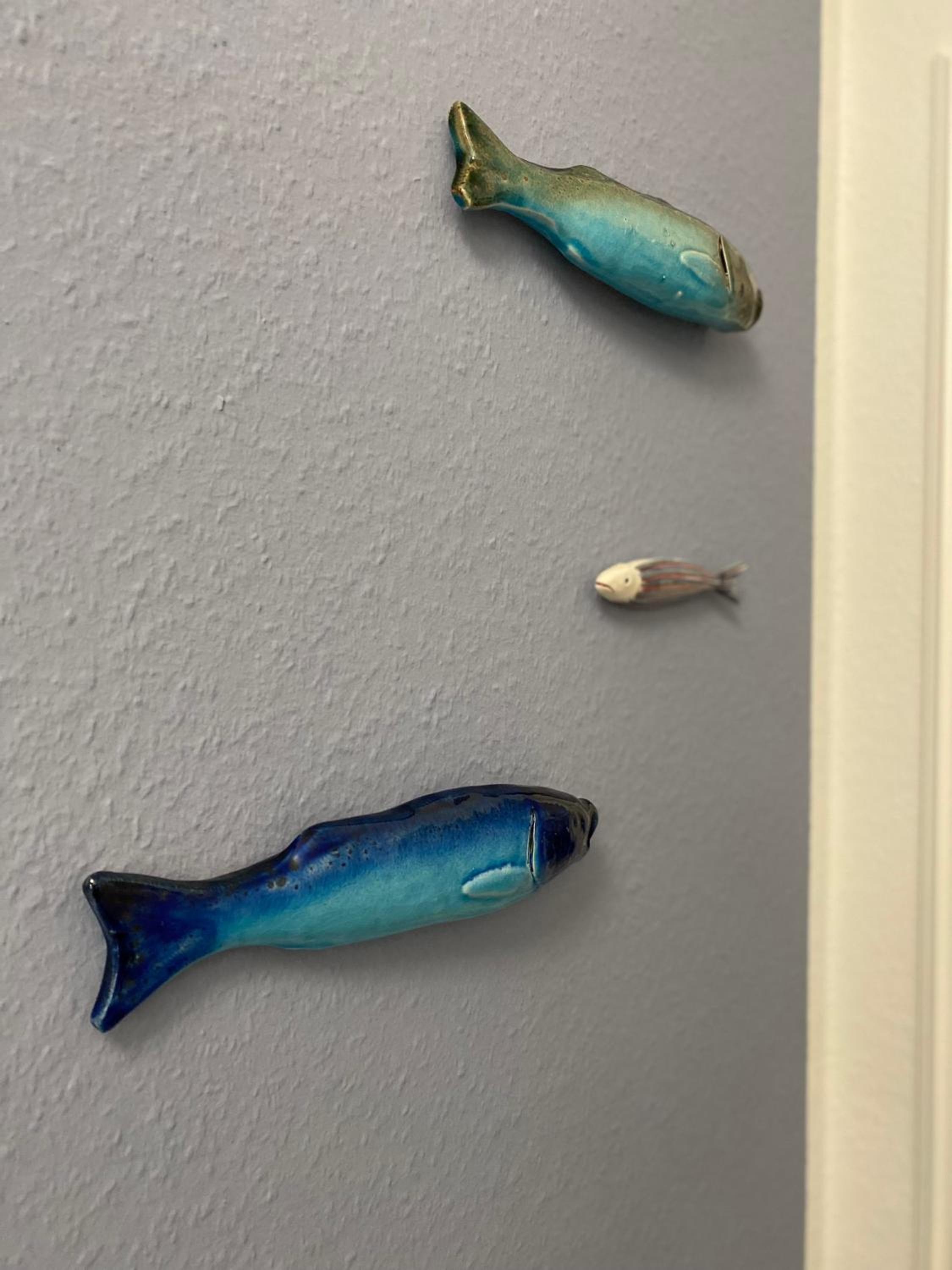 Ferienwohnung Groß Zicker