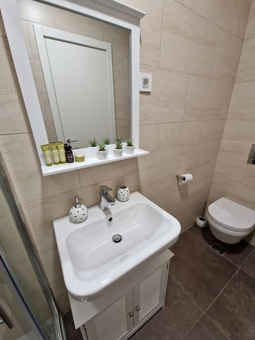 Apartman Jelena