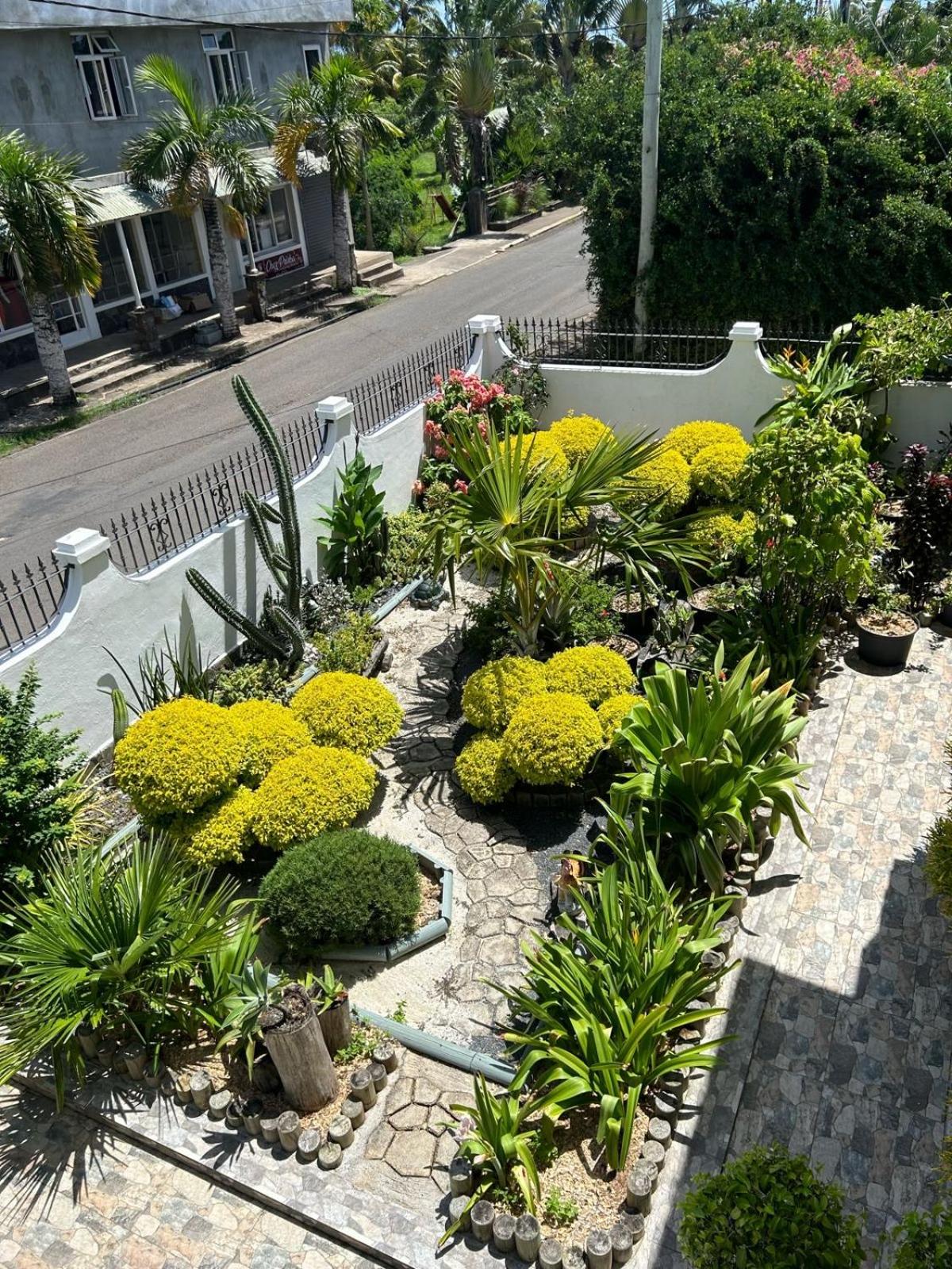 L'oiseau vert apartments photo 5
