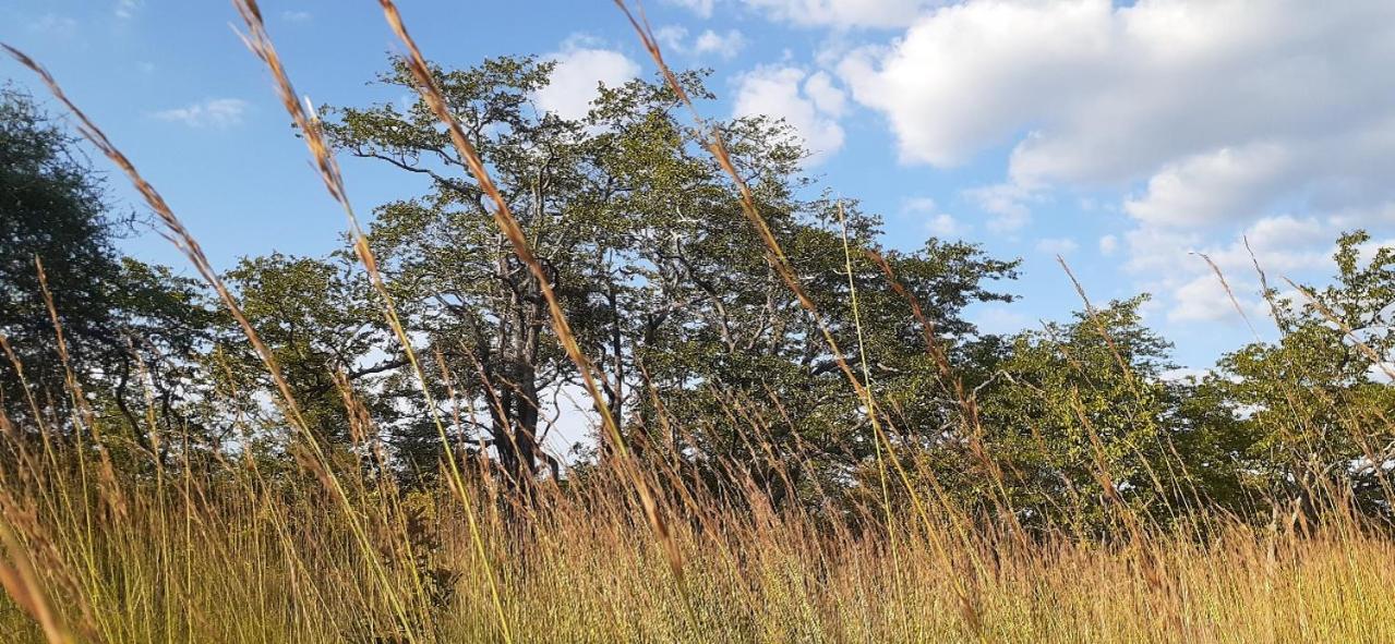 Adansonia Farm