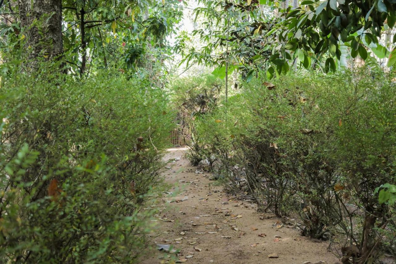 Nalukettu Heritage Resort view 5