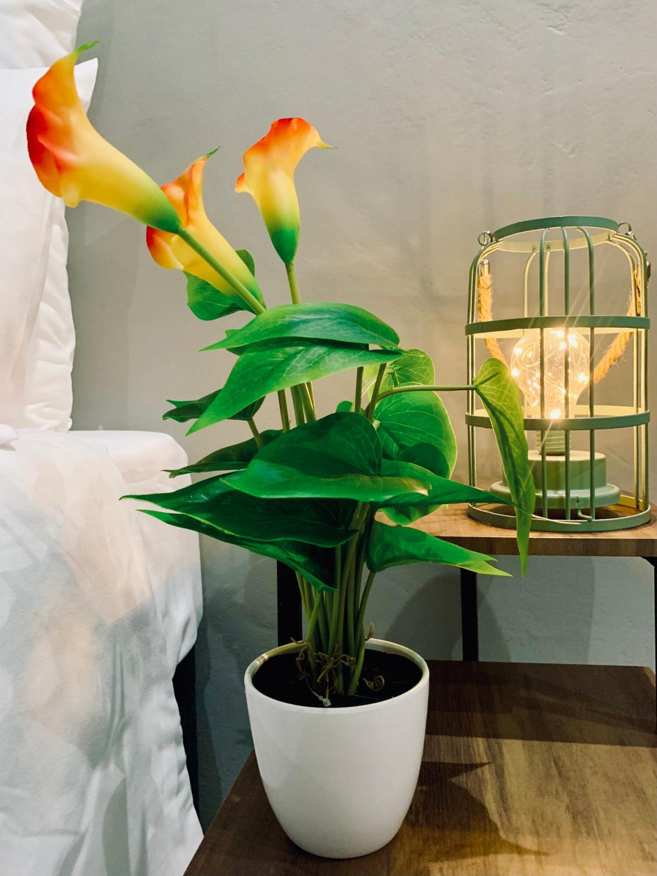 Photo 49